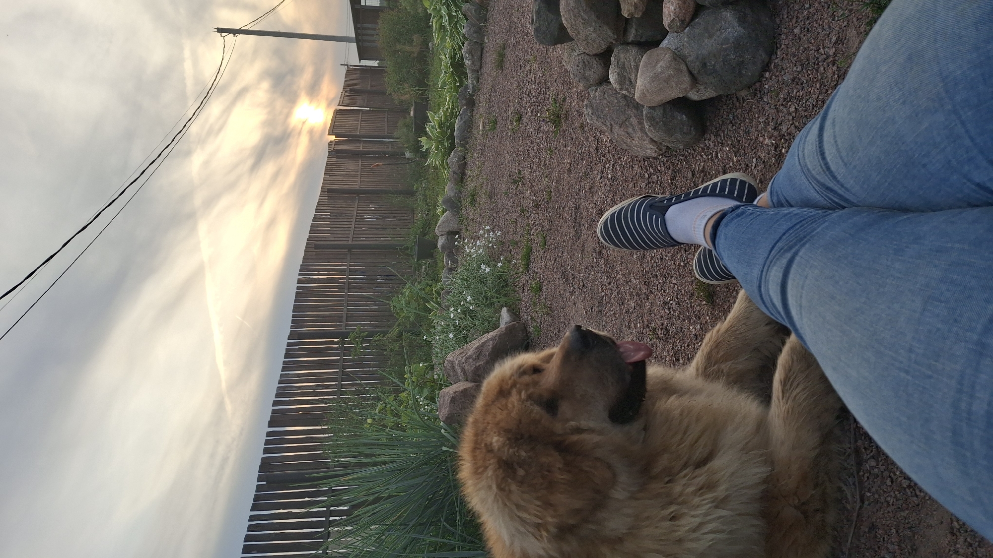 Child and dog spend afternoon together in rural Russia