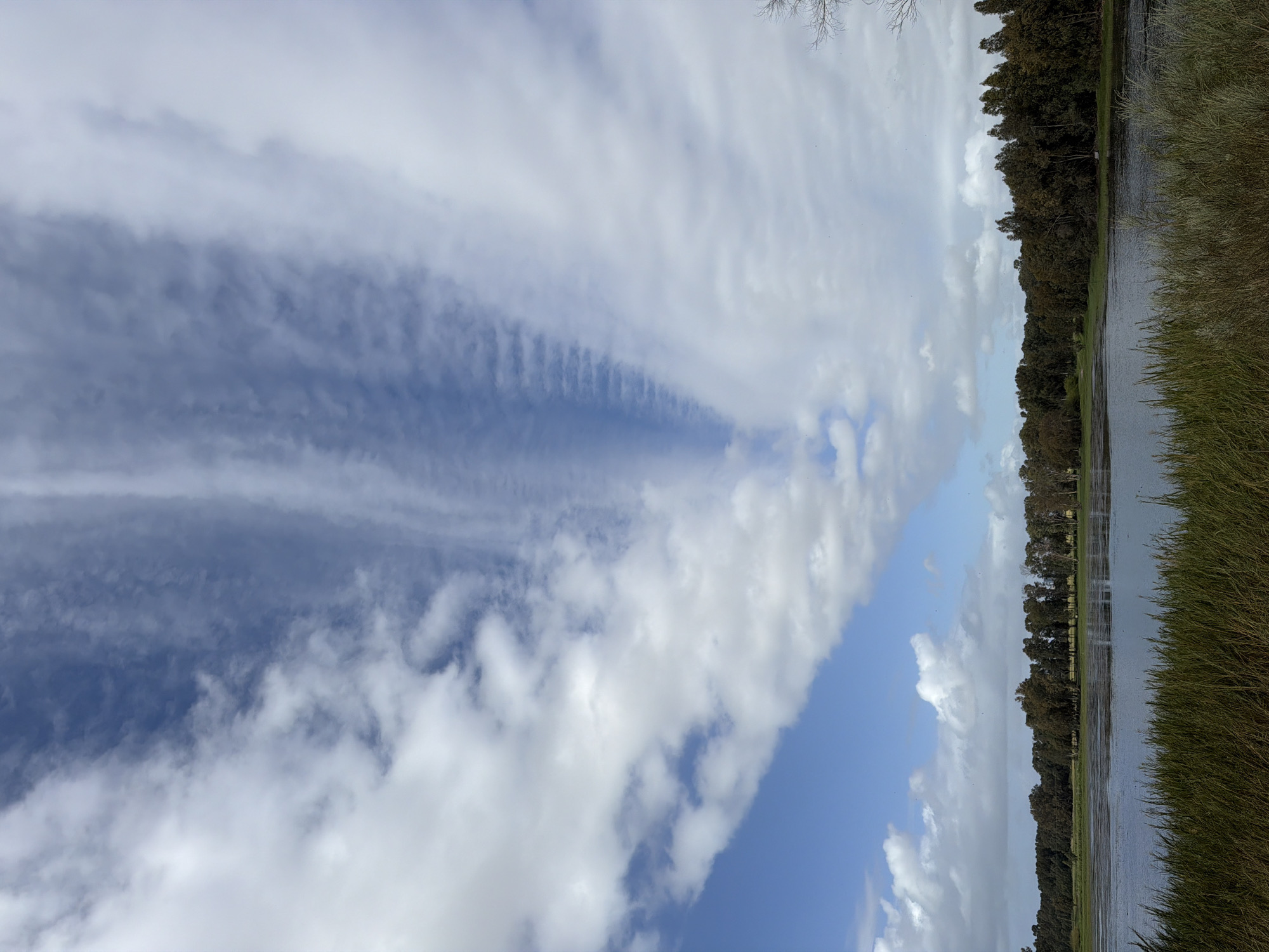 Distinctive wave-like clouds photographed over Hadera, Israel