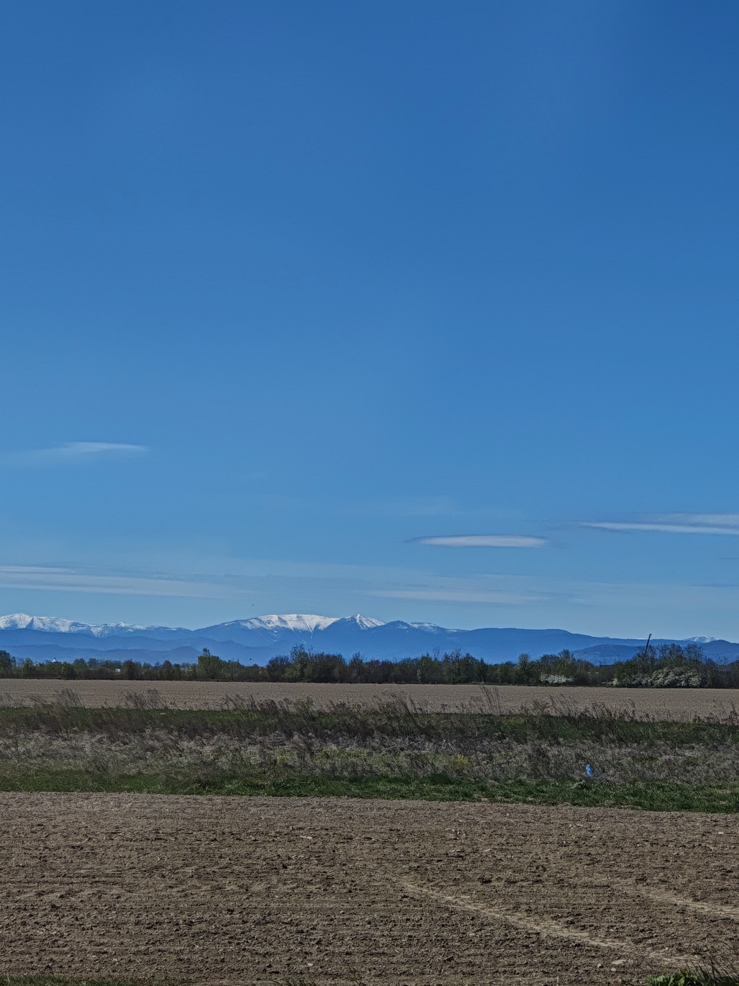 Clear skies over rural Cherniiv farmland documented Monday morning