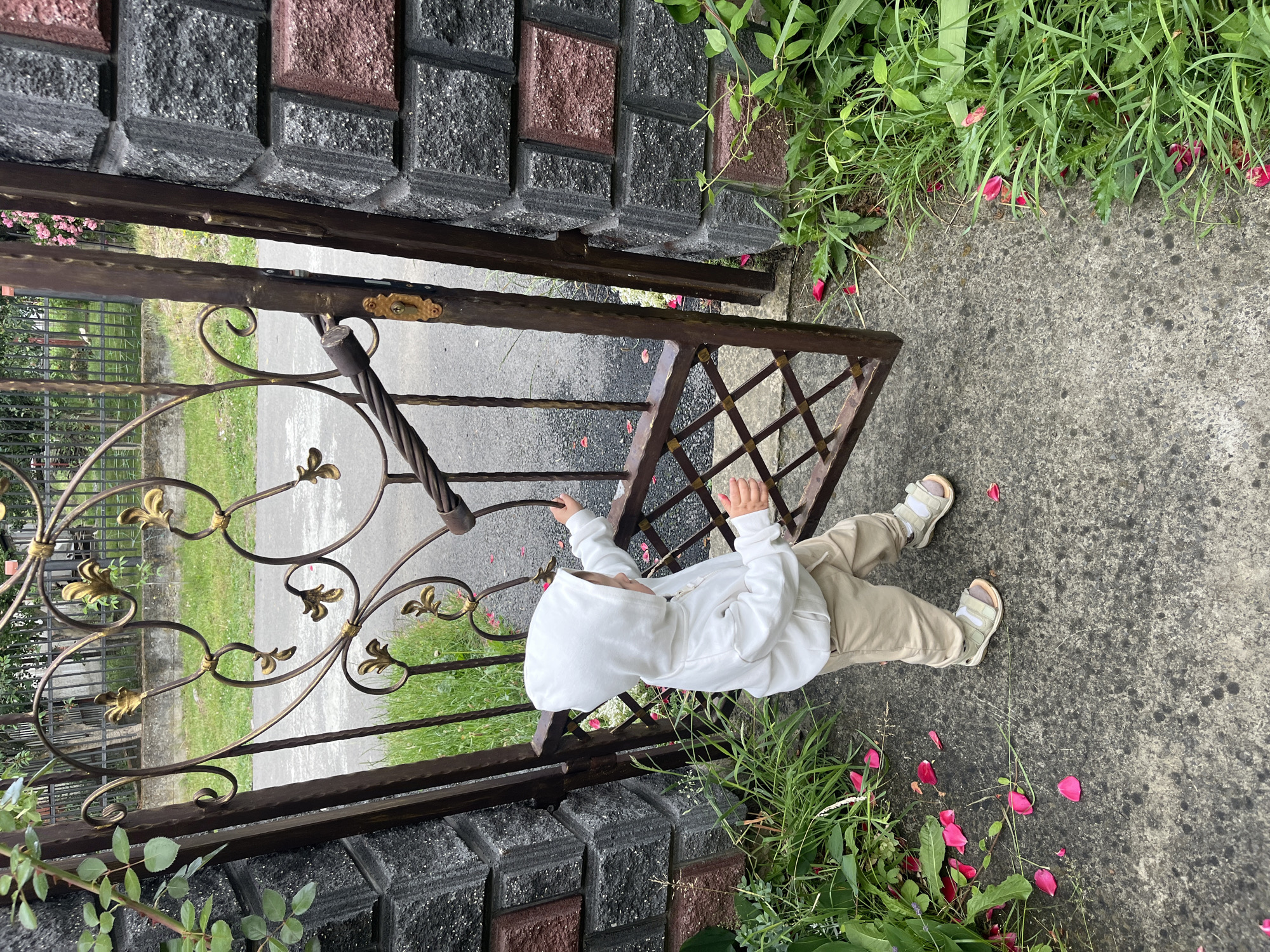 Morning life captured in Ukrainian village: children, toys, gardens