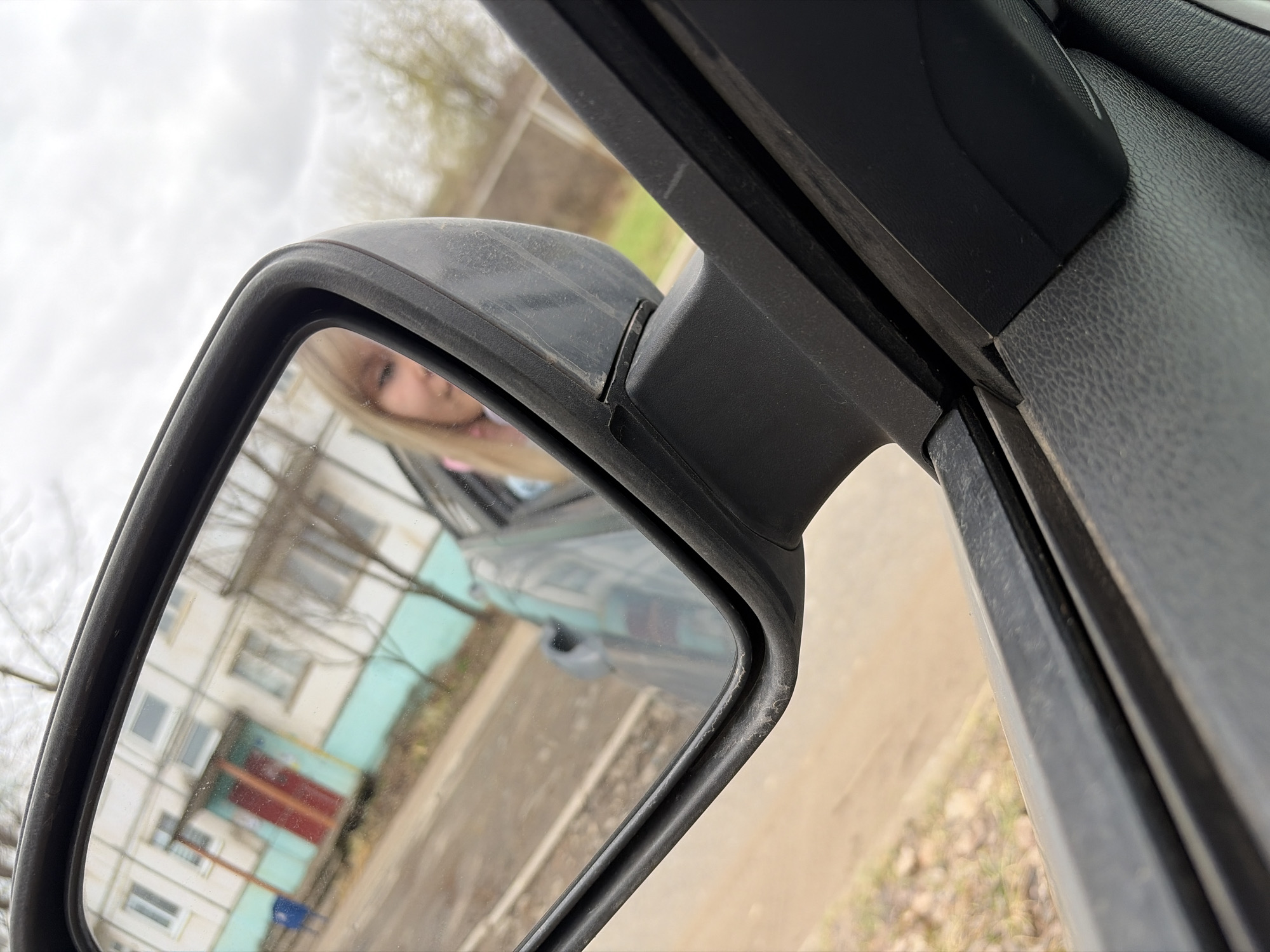 Pet owner documents car journey with rat companion
