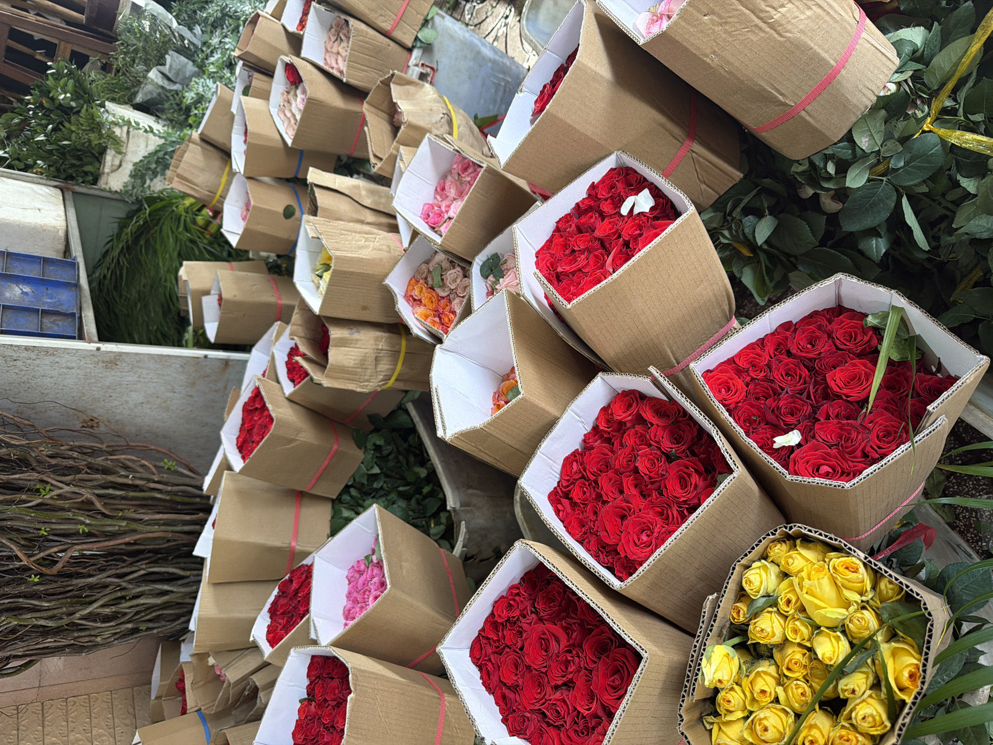 Morning flower market bustles with rose vendors in Nha Trang