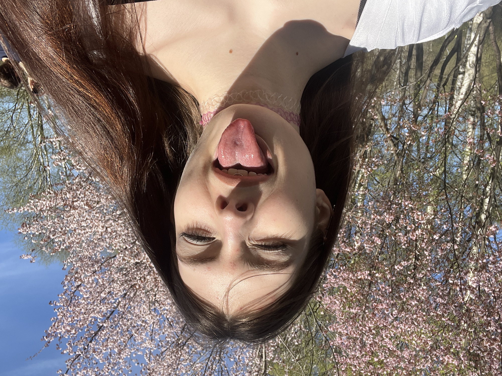 Woman photographs cherry blossoms in St. Petersburg park