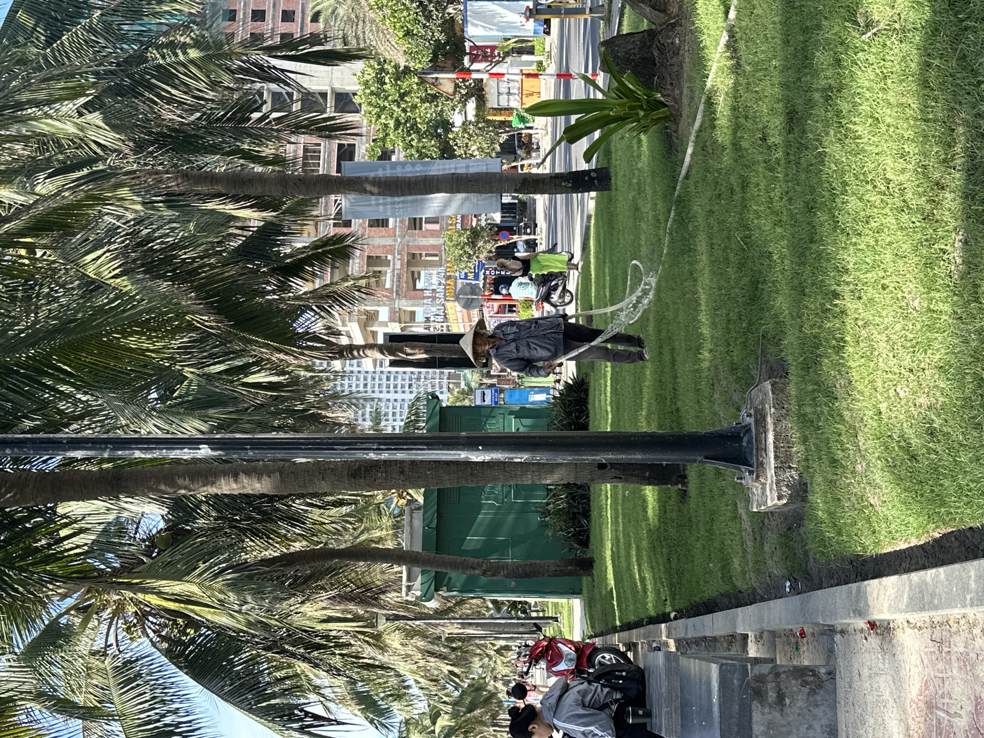 Morning grass watering on palm-lined street in Đà Nẵng