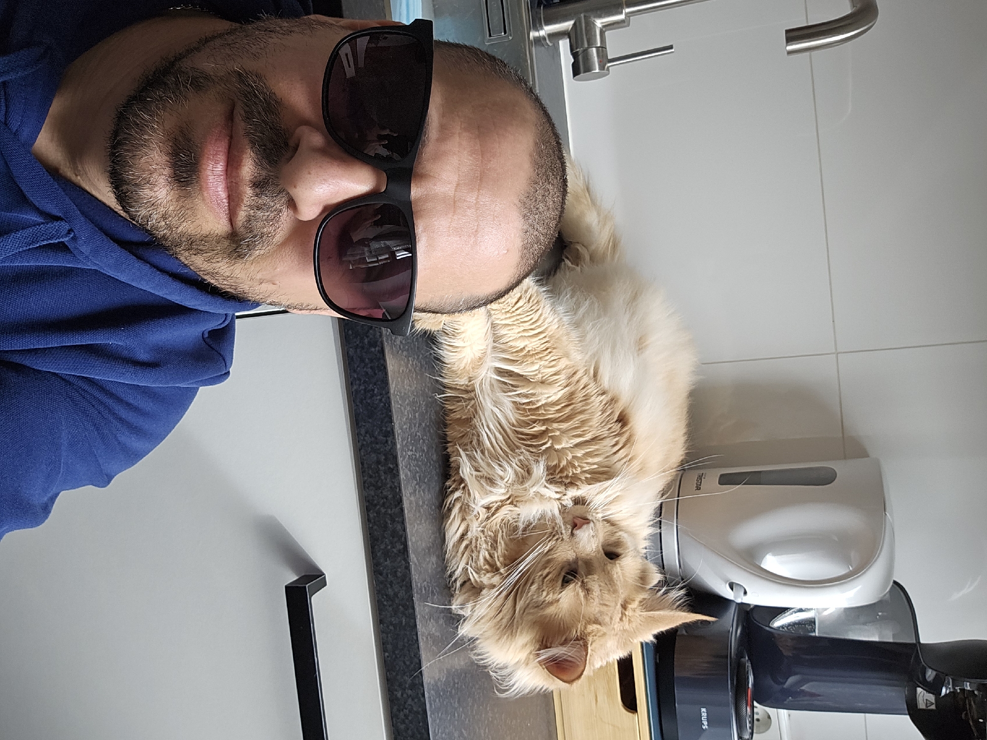 Orange cat naps on kitchen counter in Rotterdam home
