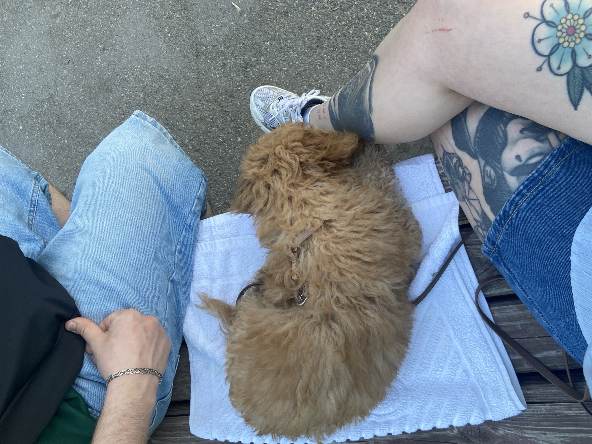Quiet afternoon moments captured in Saratov: bench scene, chalk art