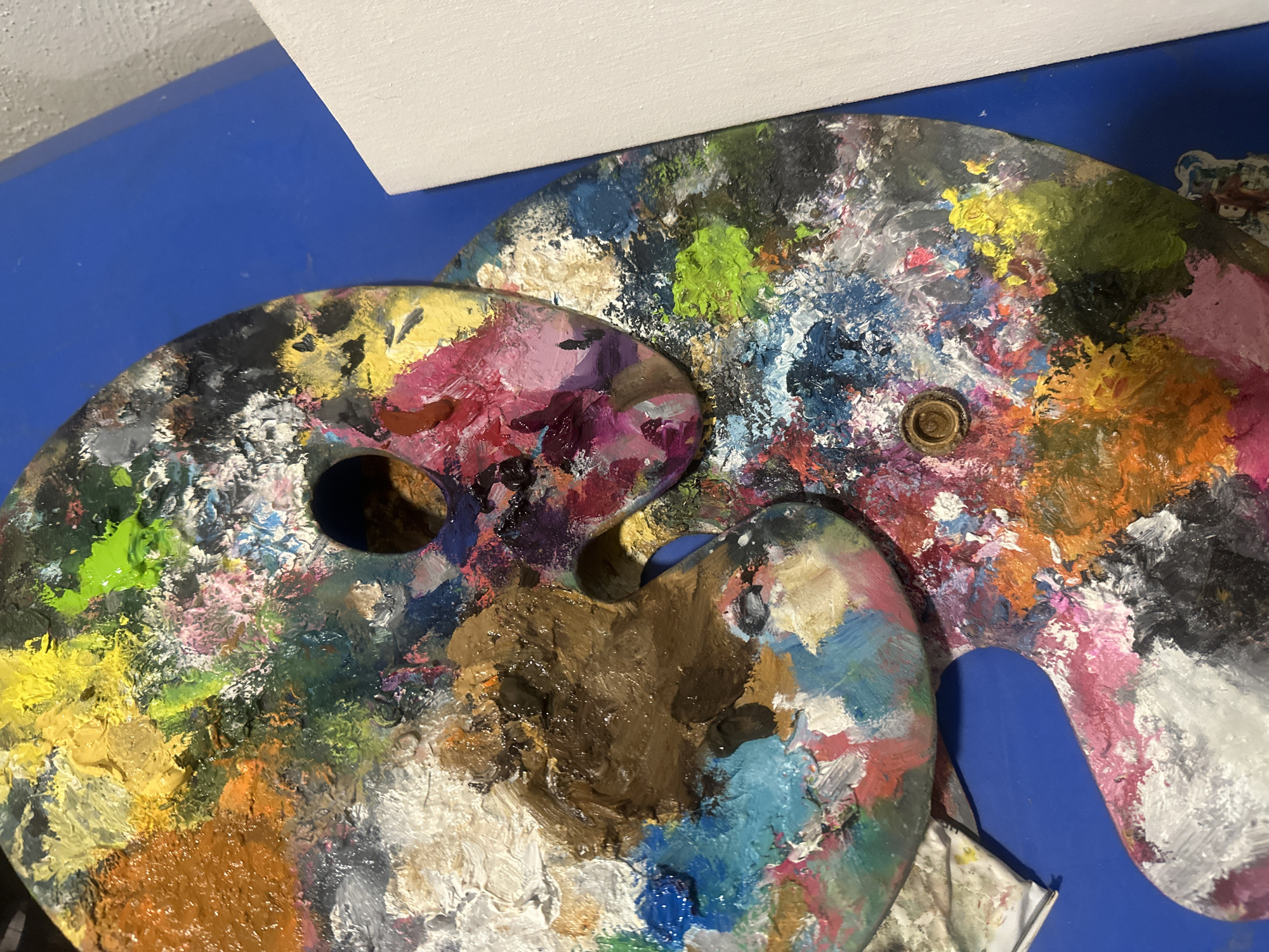 Art studio with elephant painting documented in Puebla