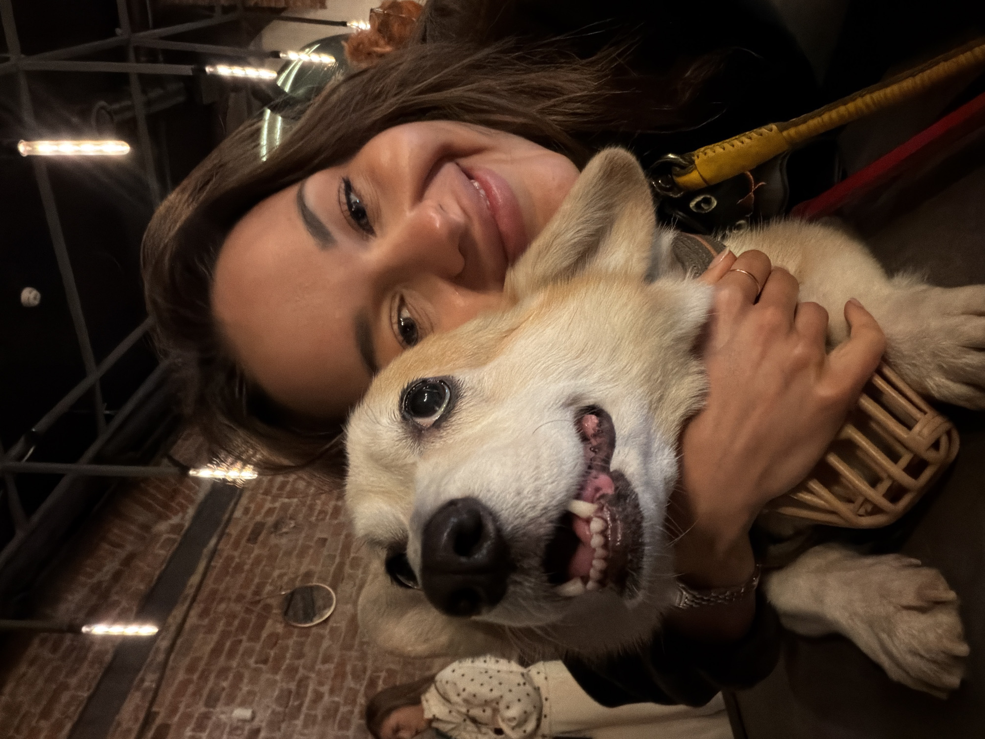Woman shares tender moment with corgi in Saint Petersburg venue