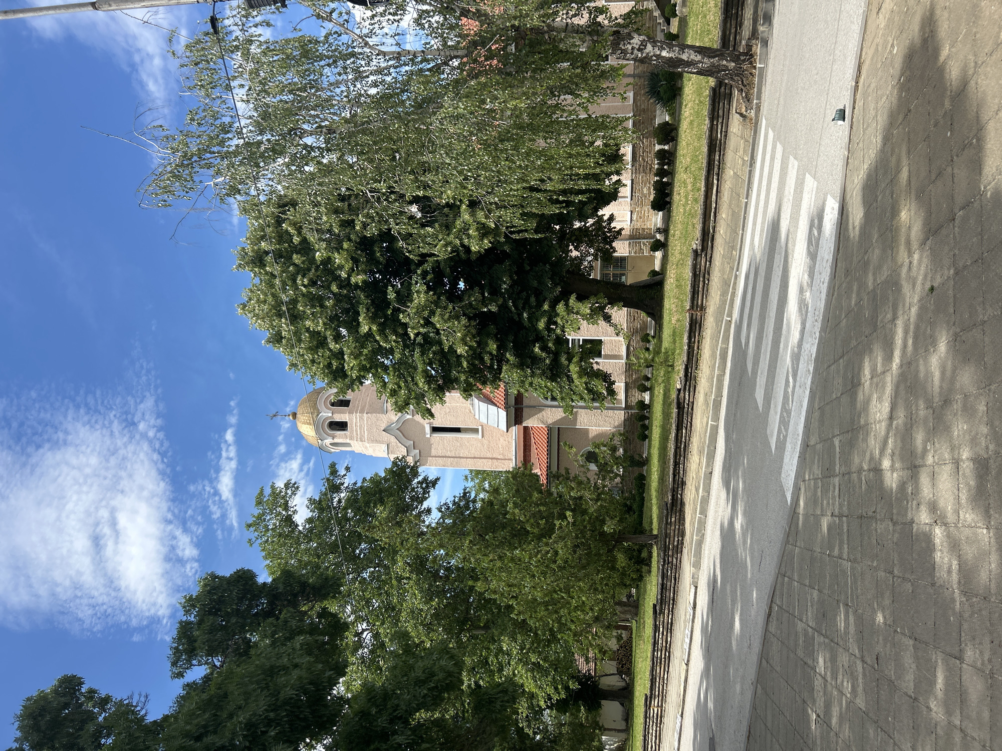 Clear-day snapshots in a tree-lined park setting