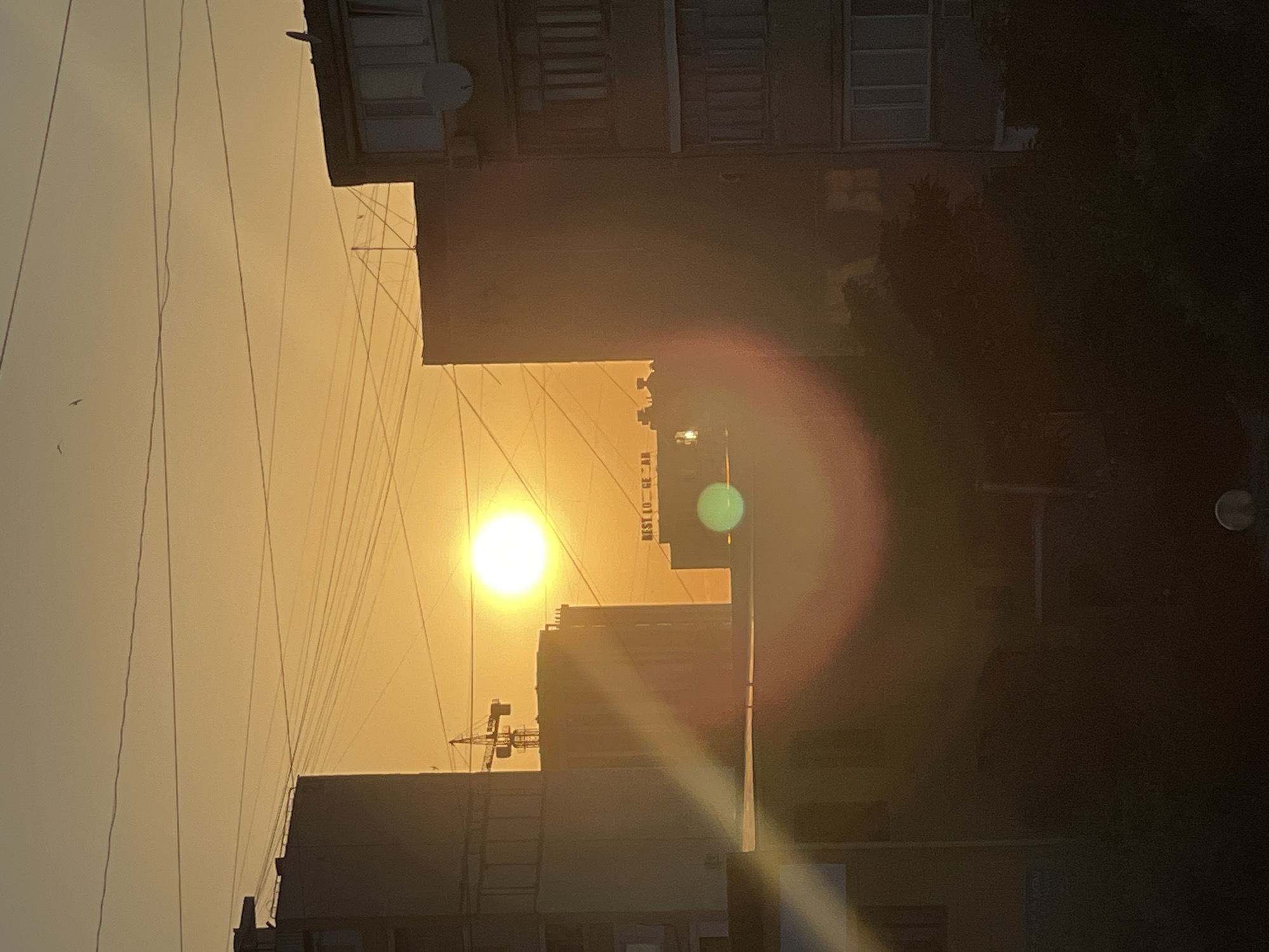 A lazy afternoon in Aktau — cats, sunsets, and street life