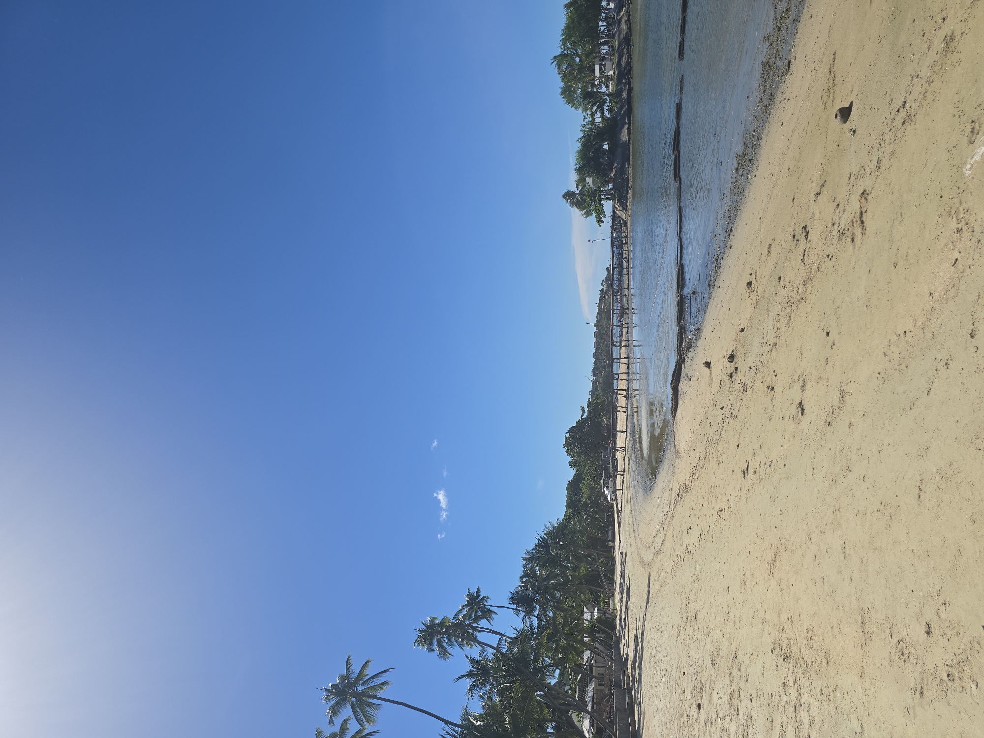 Sunny tropical beach with boats, palms, and beachside amenities