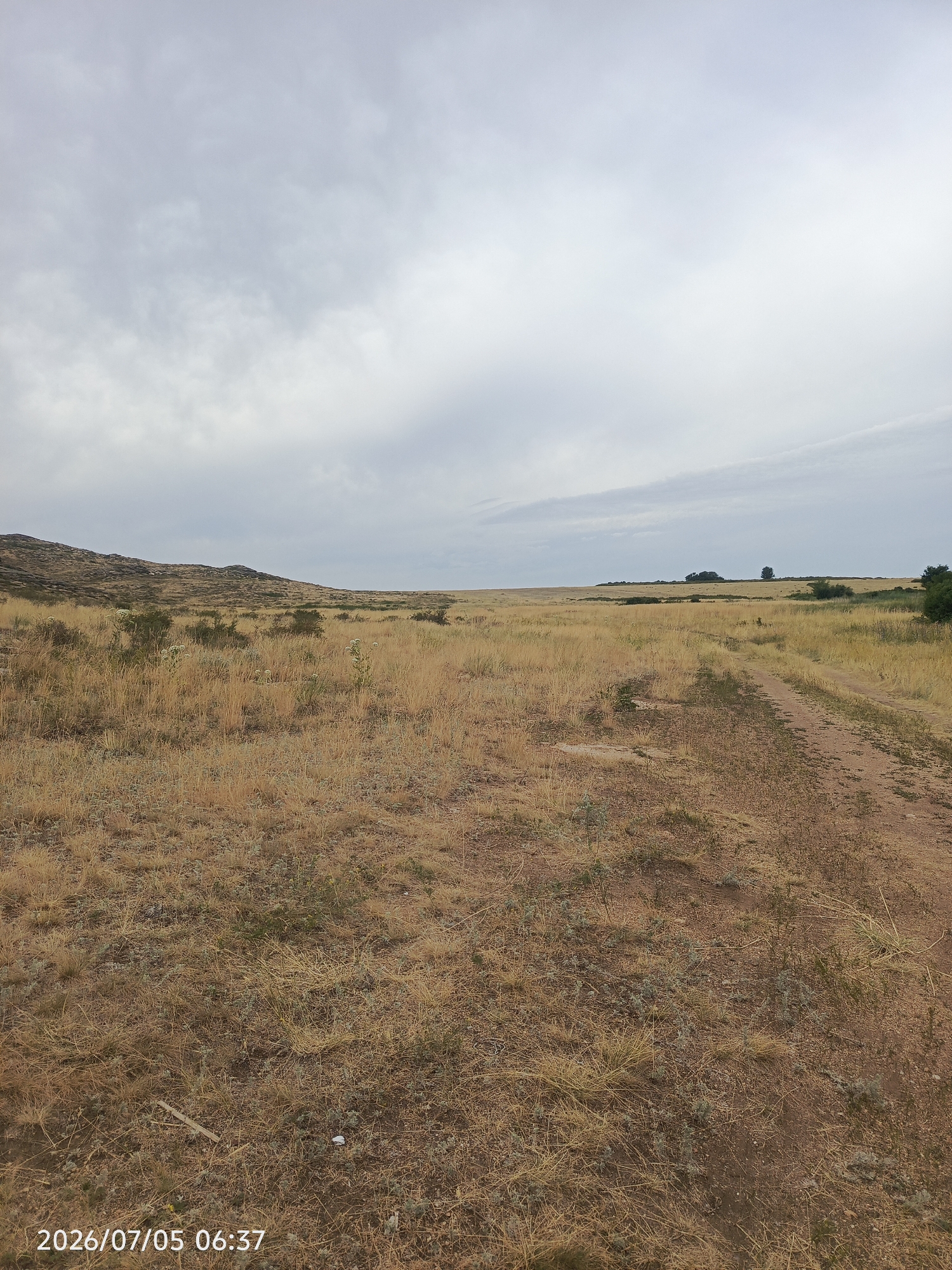 Dry grassland and calm water under an overcast sky