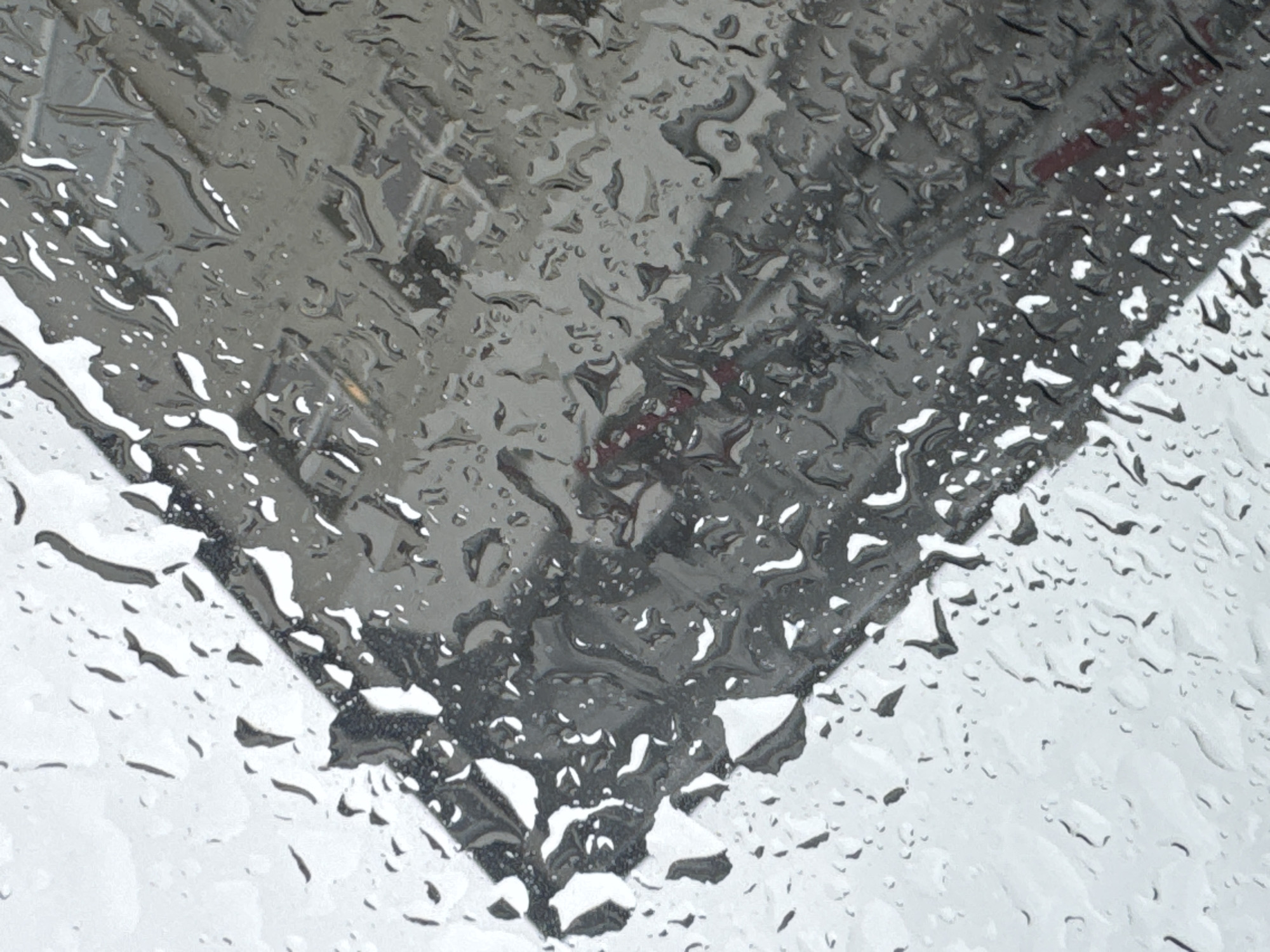 Rainy morning street views captured in Sirius, Russia