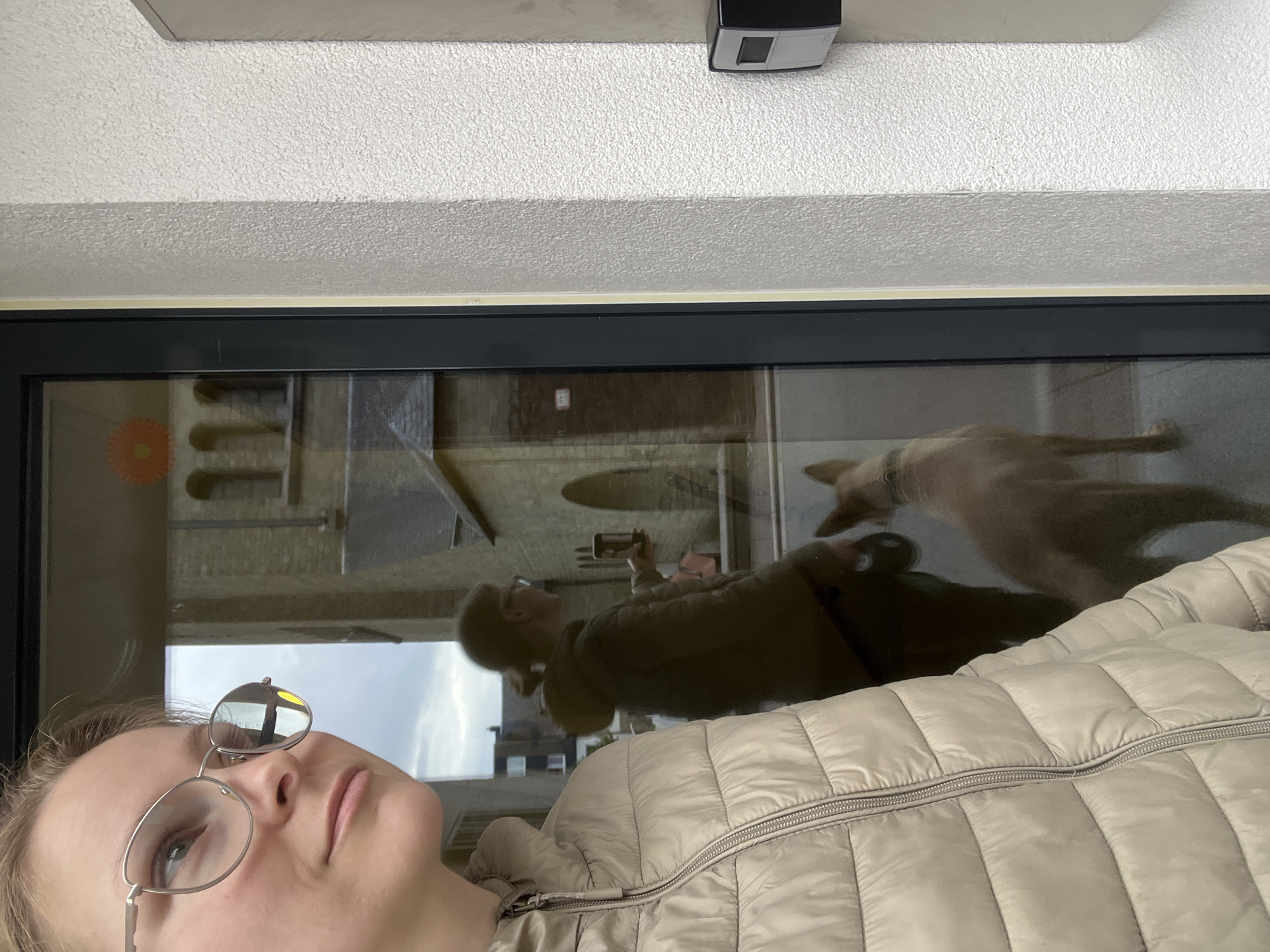 Lazy morning at home in Saint-Vith with pets and food
