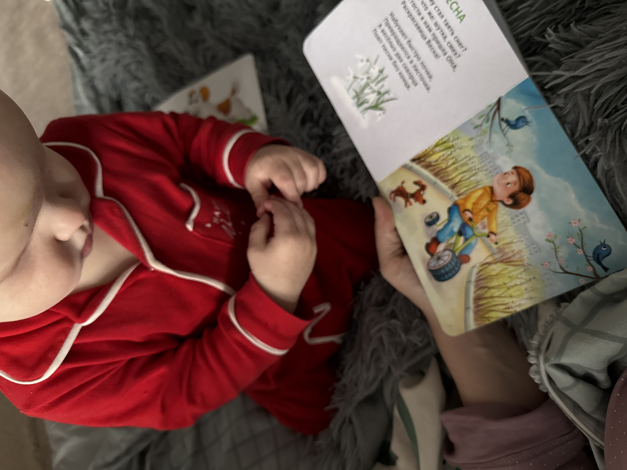 Child reads Russian book with cat in Donetsk home