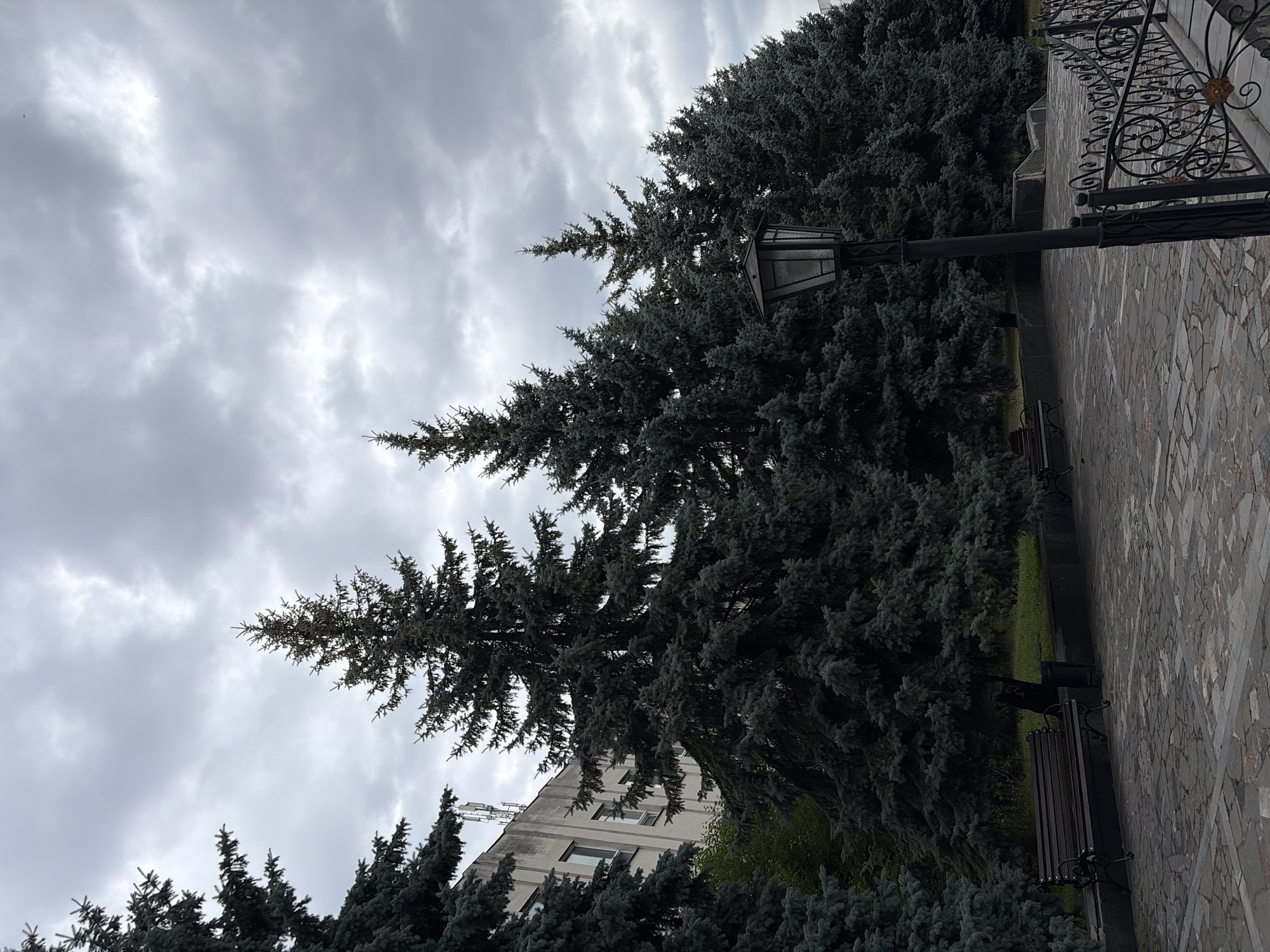 Street and building scenes from central Chernihiv on a July afternoon.