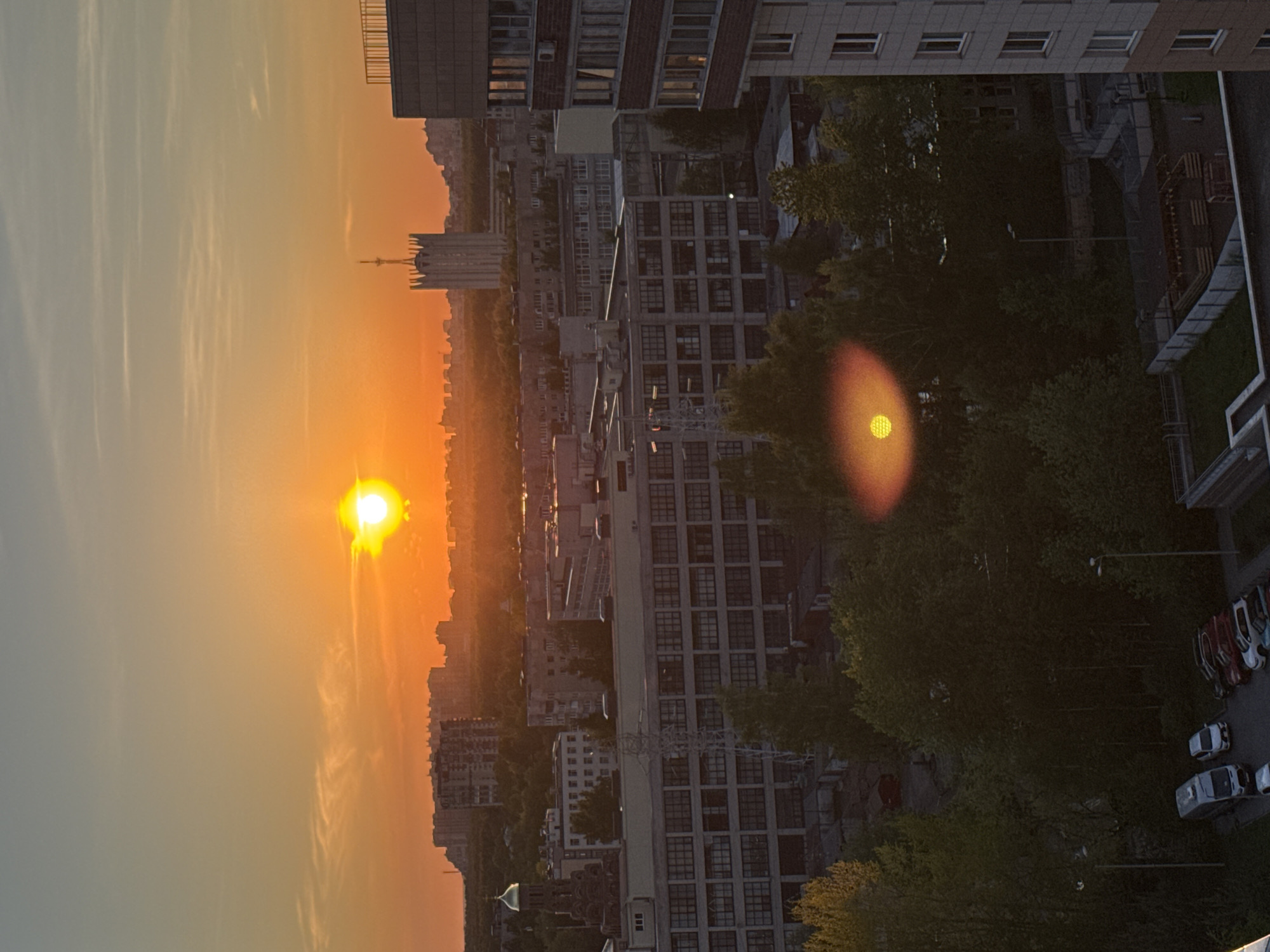 Sunset observed over Saint Petersburg with wilting tulips