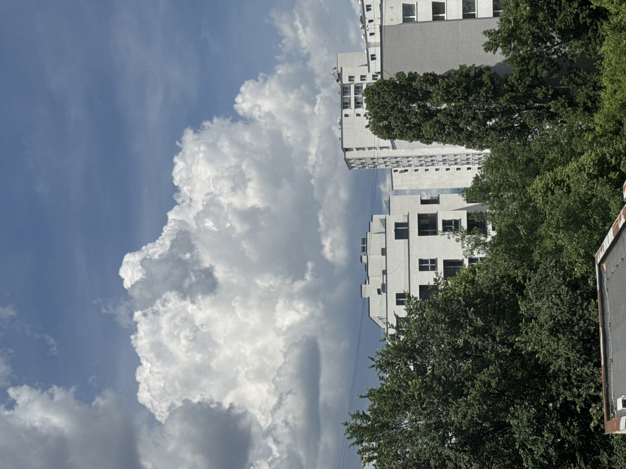 Morning snapshots capture everyday life across Sofia neighborhoods