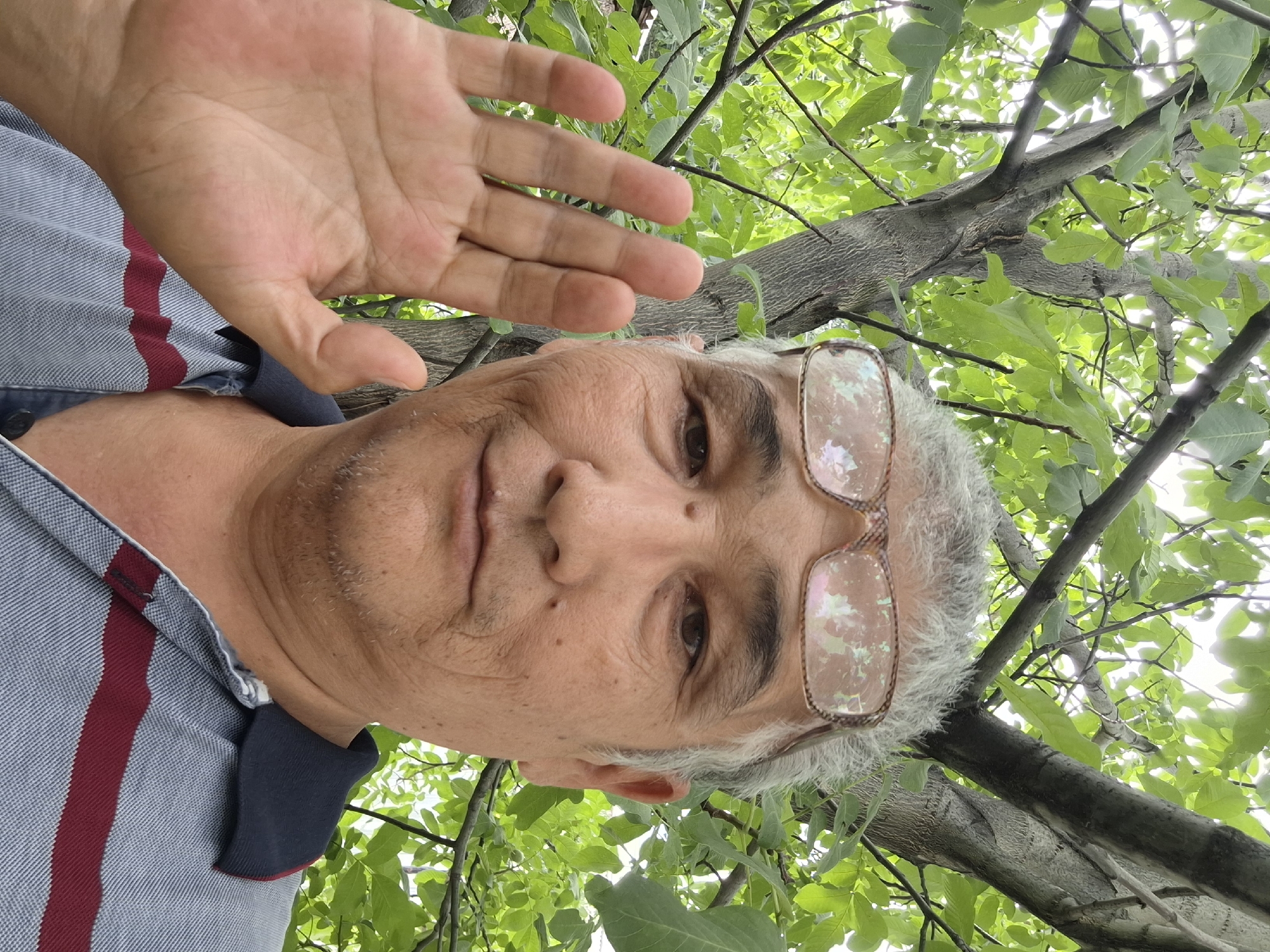 Late-summer orchard walk through a fruitful Almaty garden