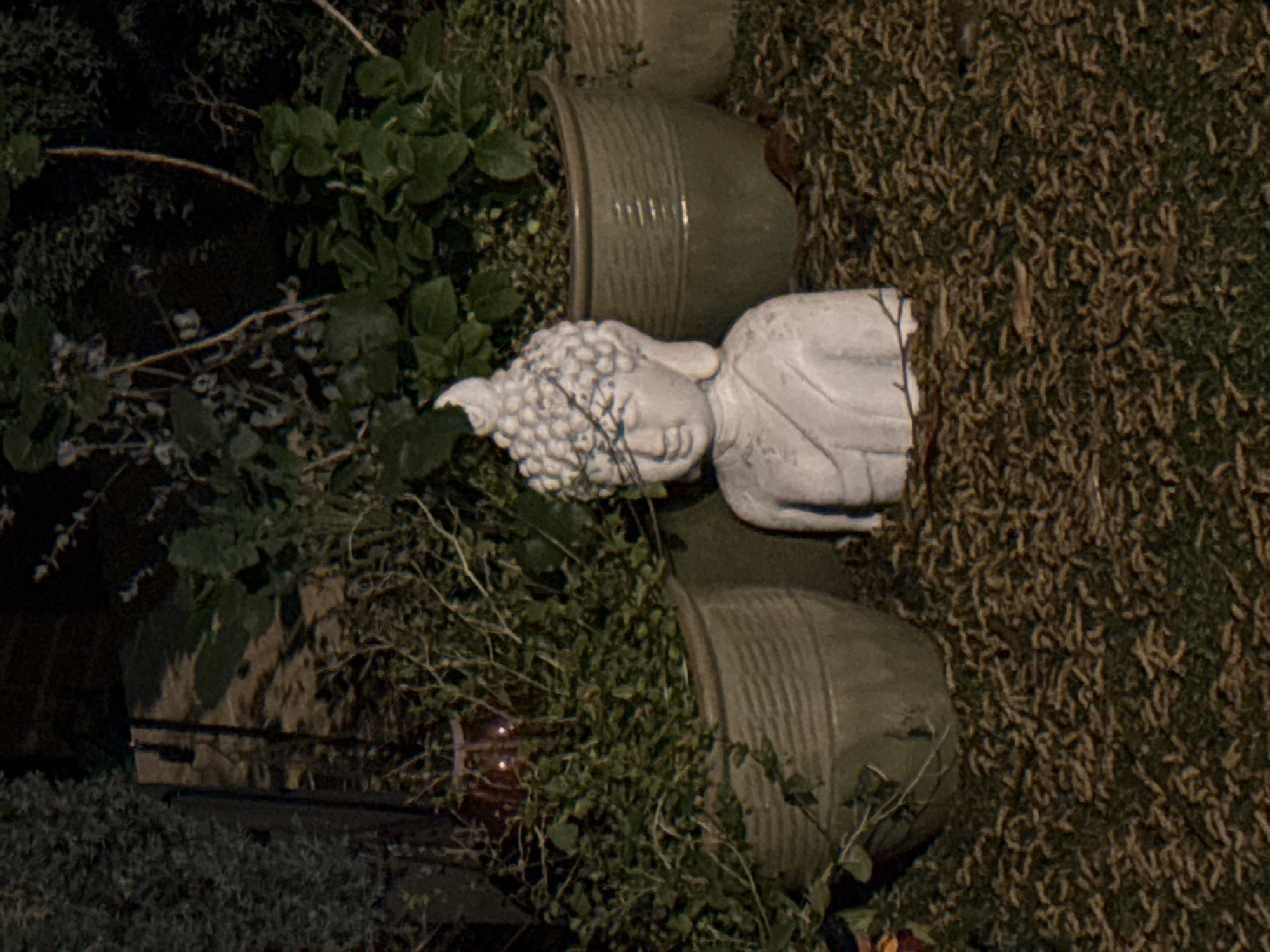 London resident documents peaceful nighttime spring walk through city