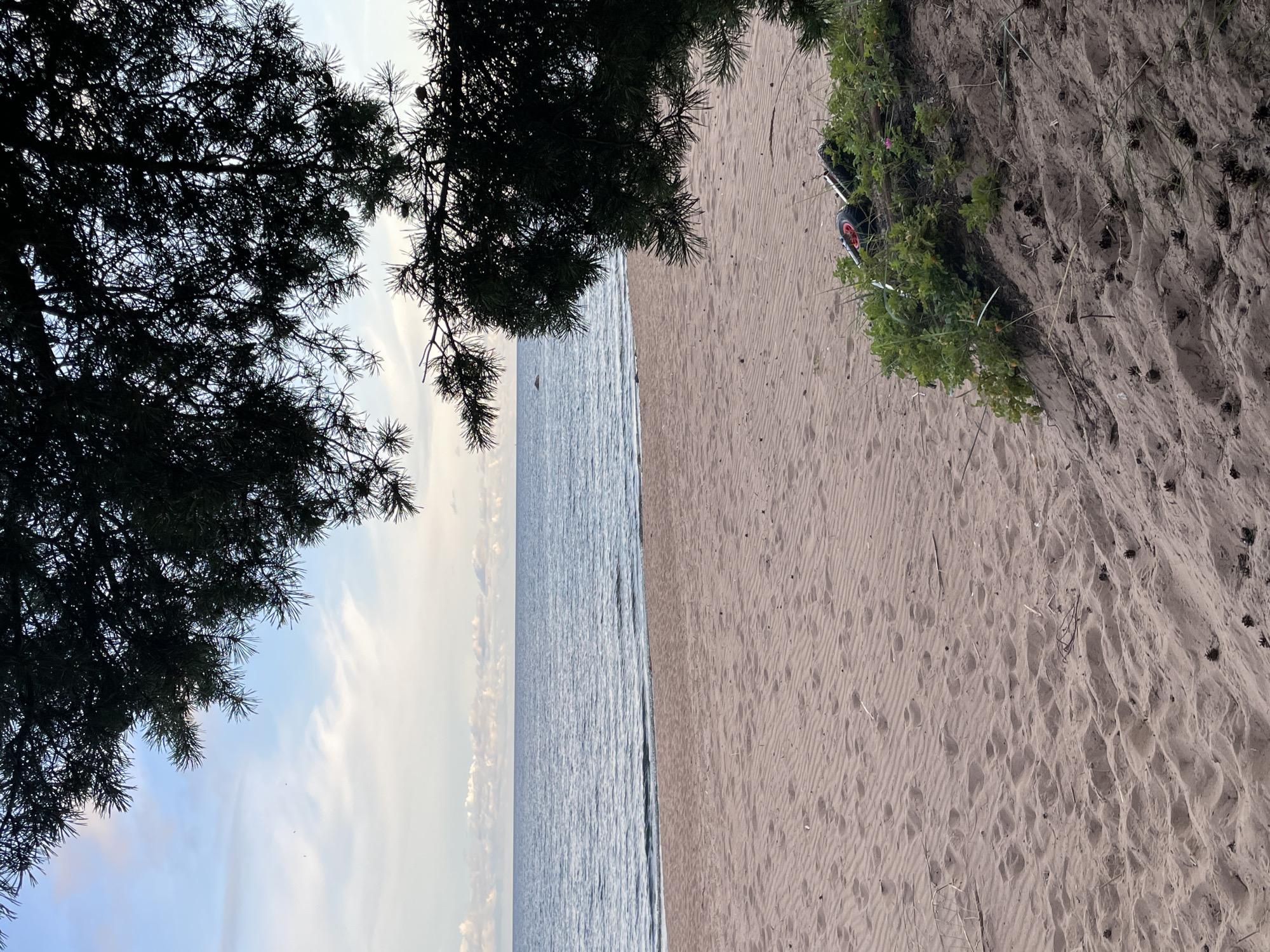 Beach and bike: a summer stop in Zelenaya Roshcha's pines
