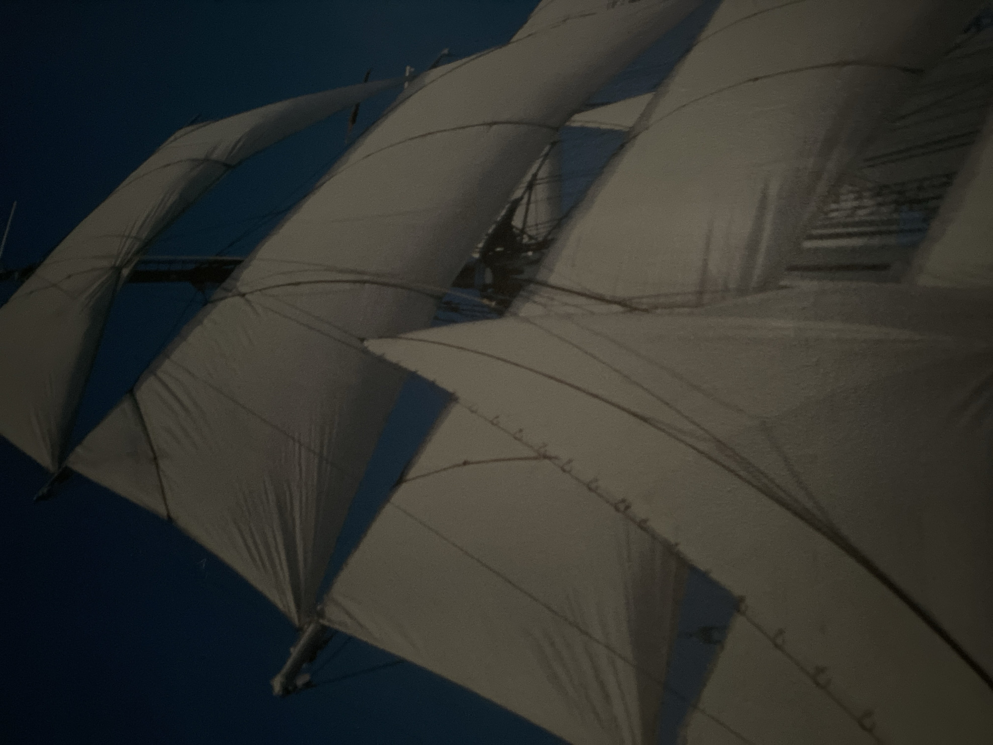 Tall ship with billowing white sails spotted in London