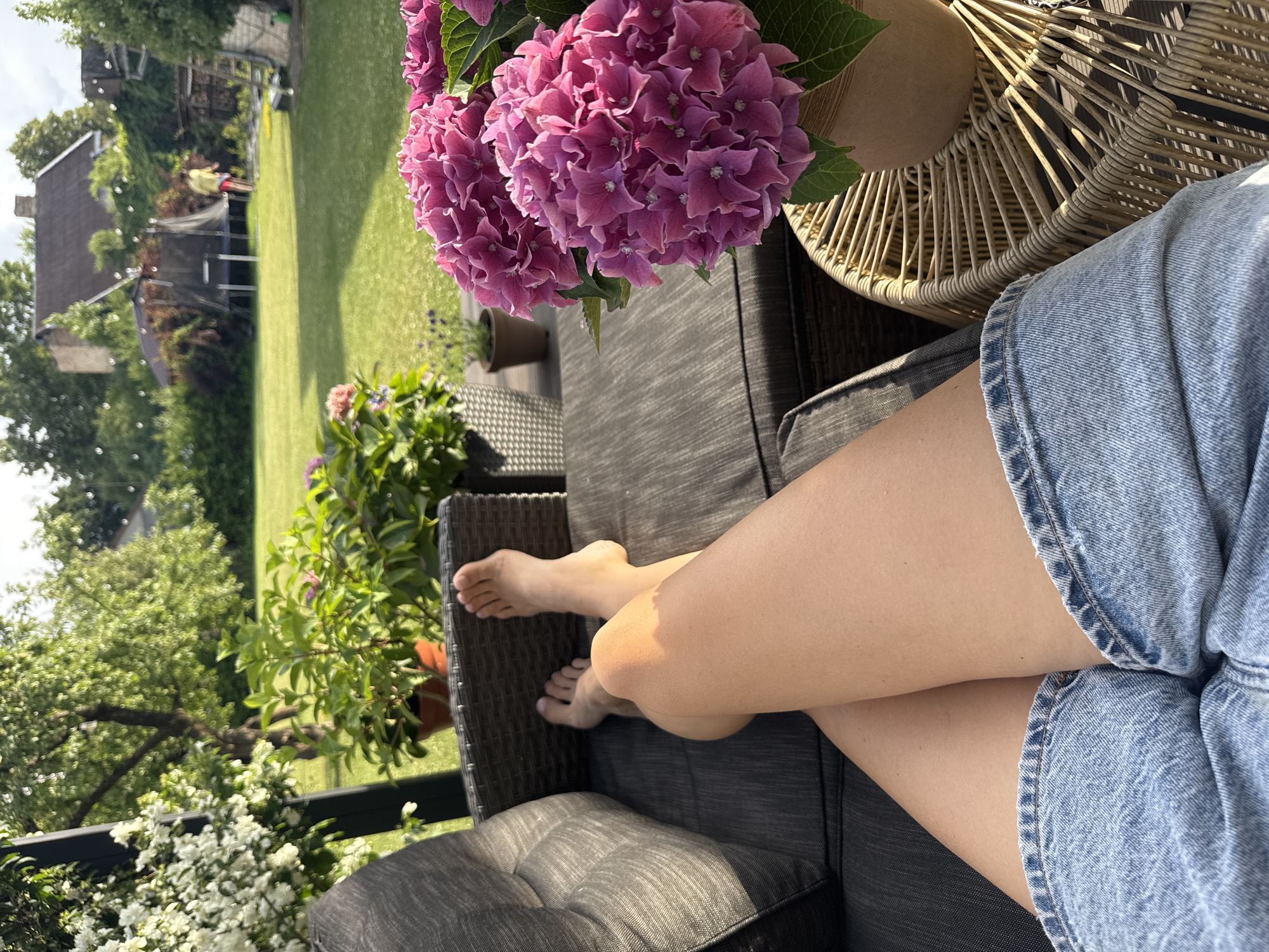 Lazy summer afternoon at home in Carnikava, pets included