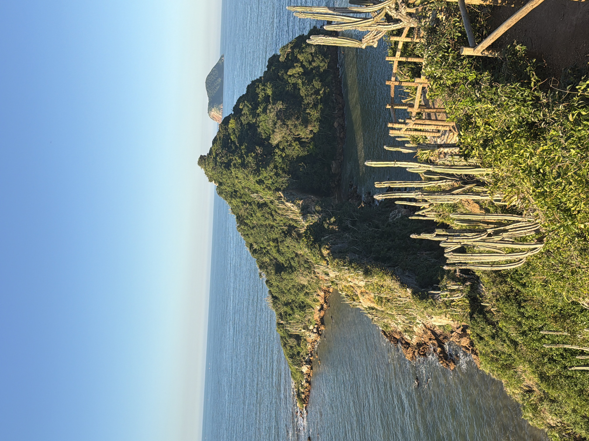 Cactus-lined coastal trail meets the calm Atlantic in Búzios
