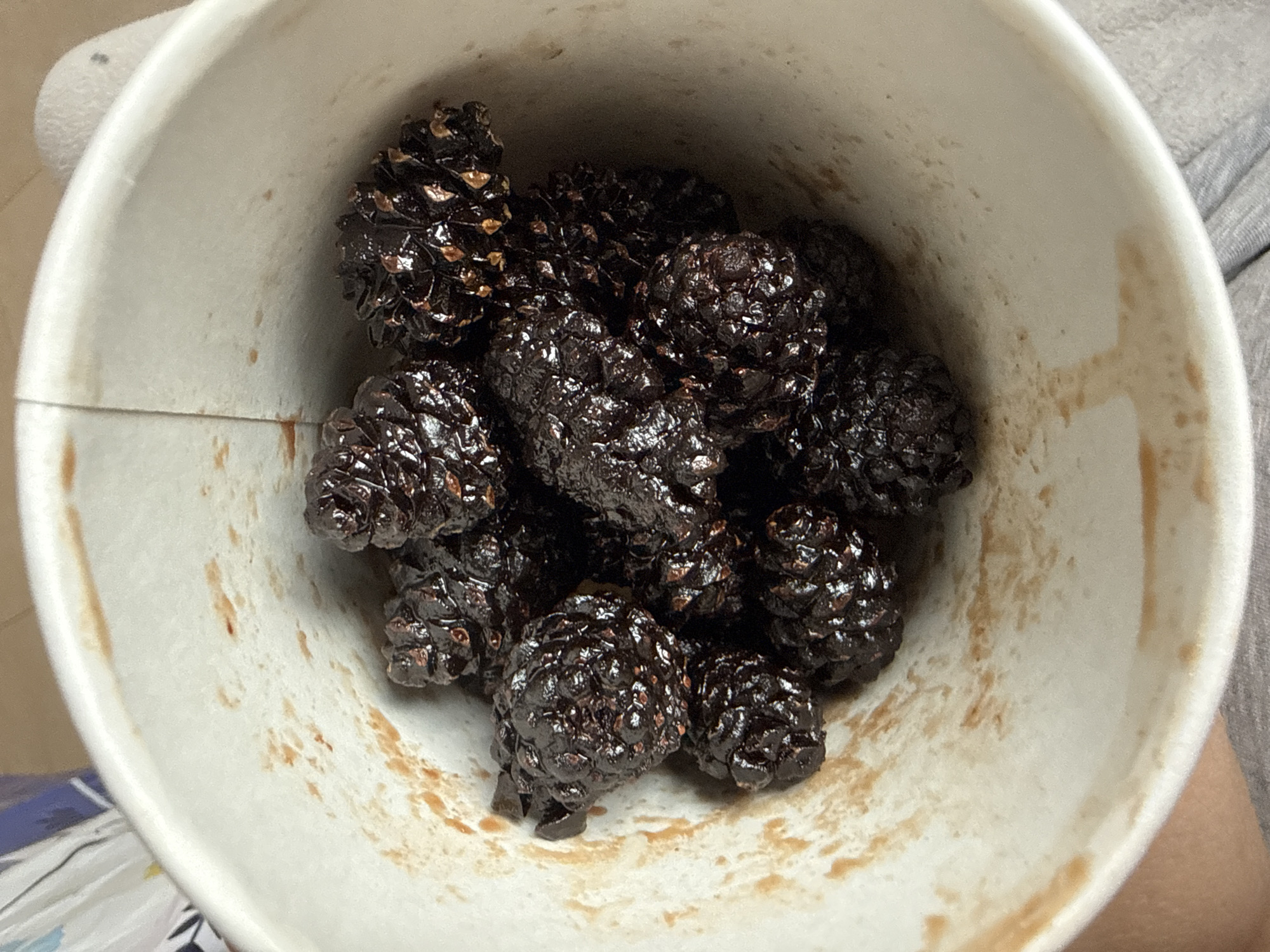 Garden harvest and cooking session documented in 28 memories
