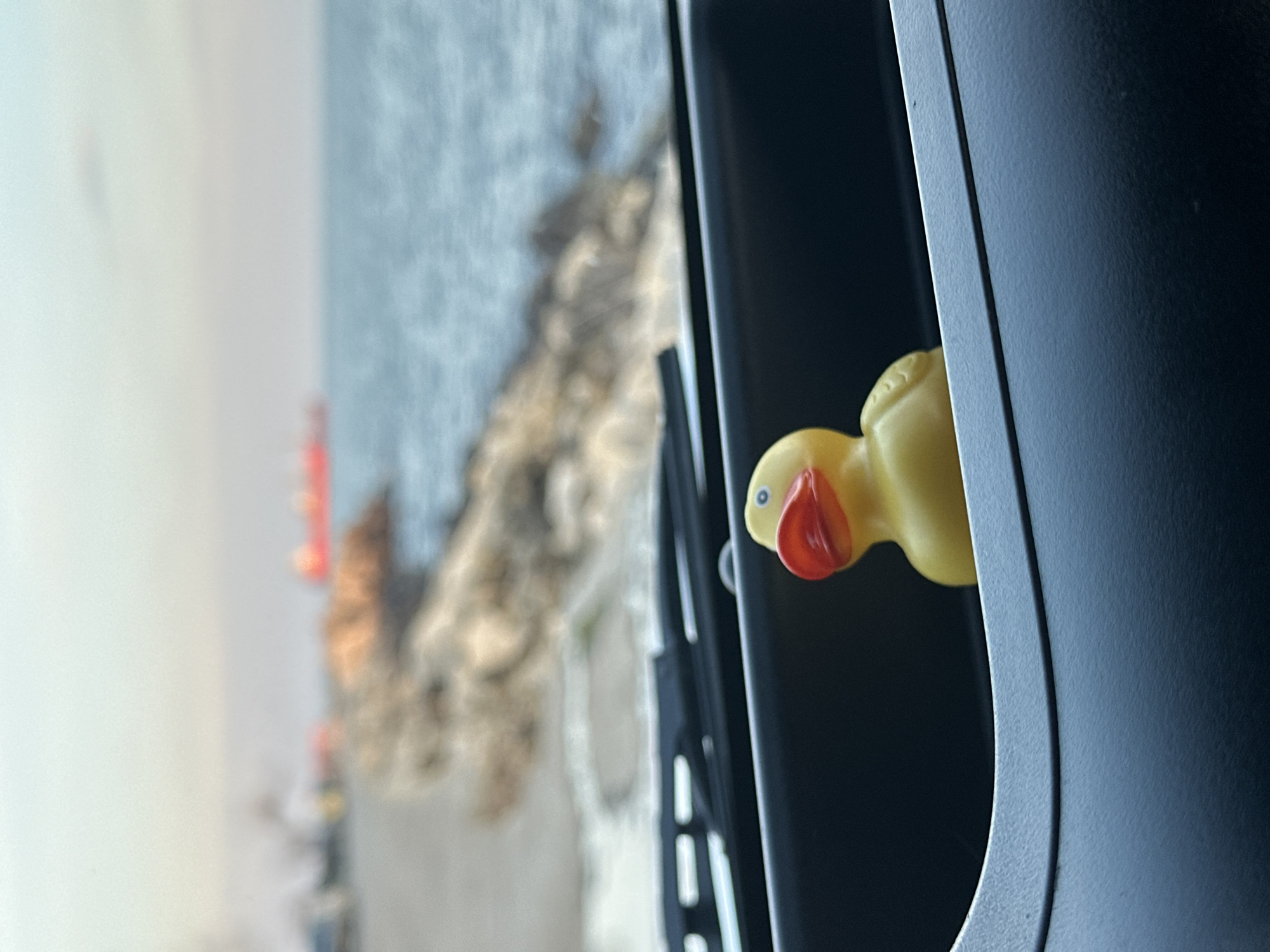 Tourist photographs Black Sea from Jeep in Varna, Bulgaria