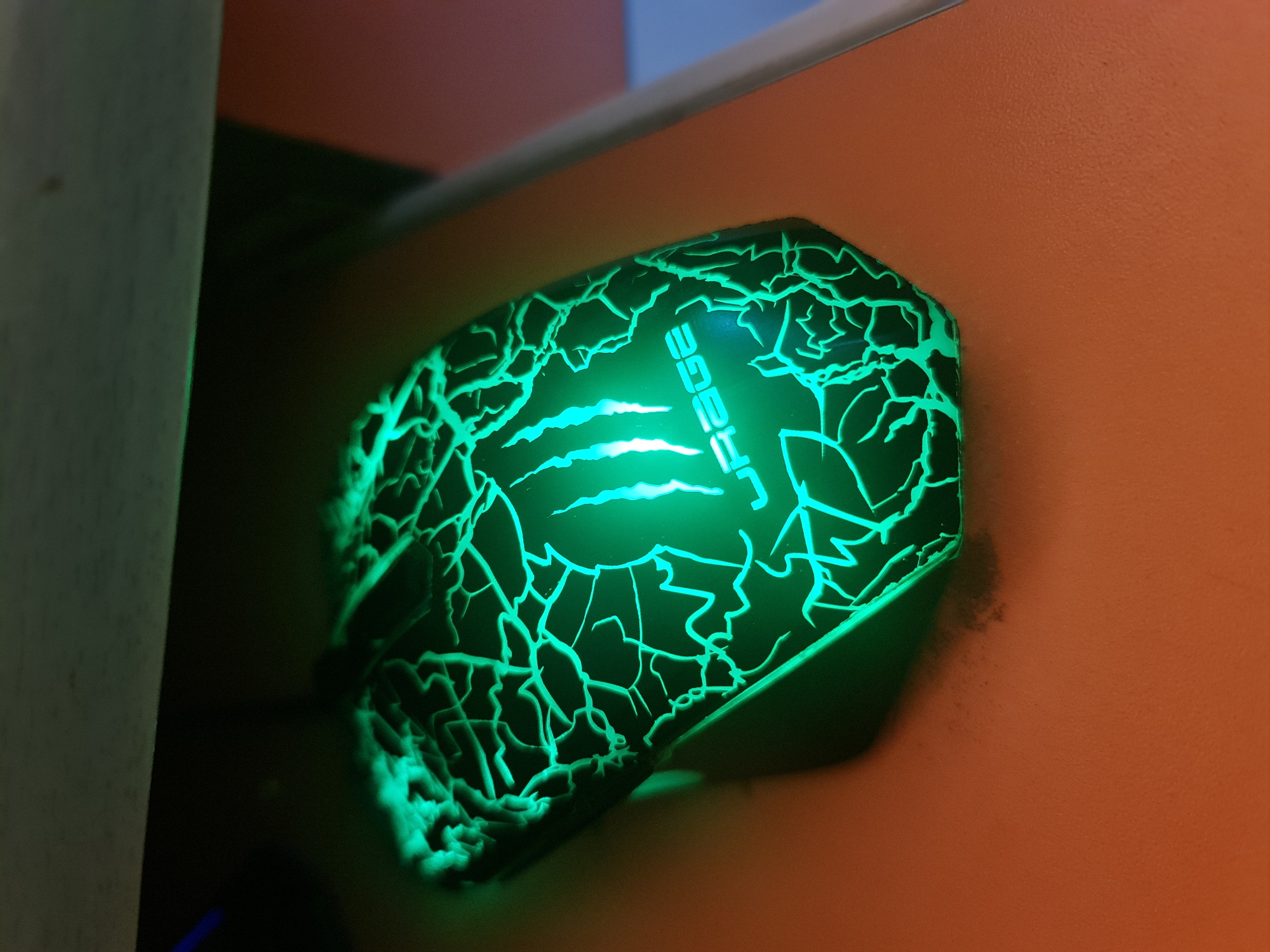 Cat and gaming setup documented in Bulgarian home