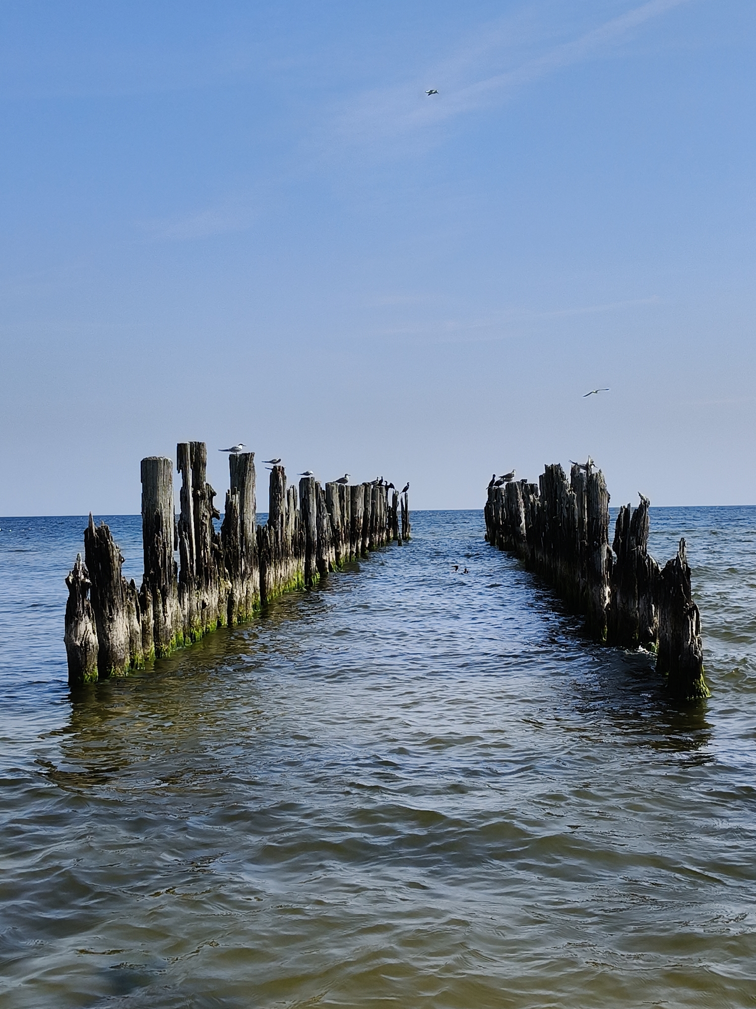 Weathered pier ruins and rocky shore at Bigauņciems, Baltic coast