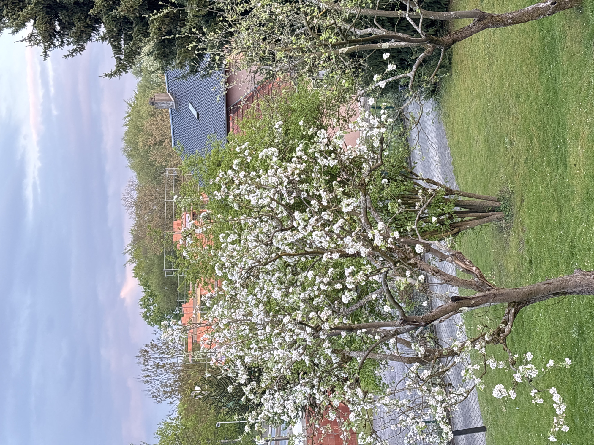 Residential property documented during spring evening hours