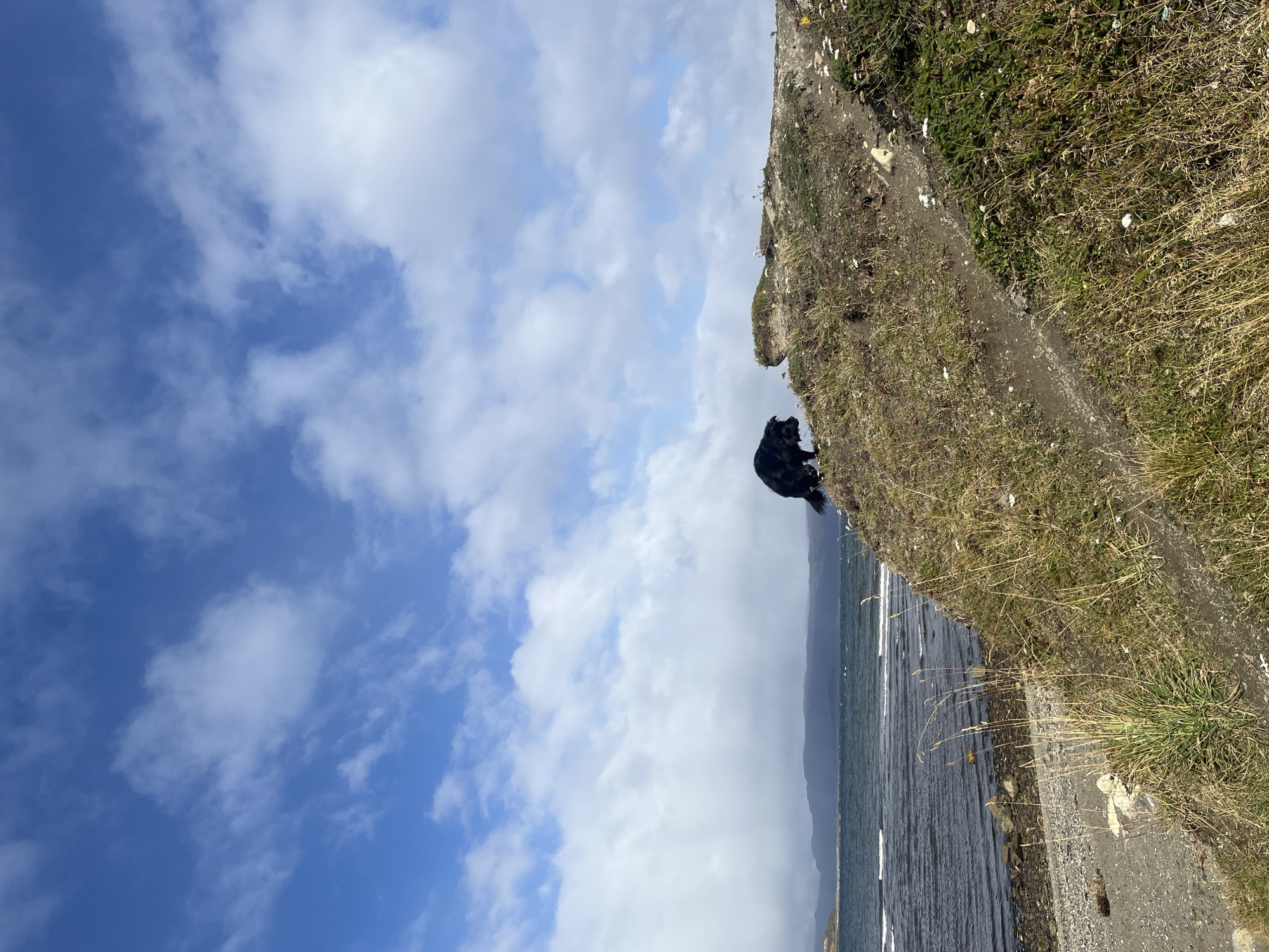 Coastal scene photographed under blue skies in Ushuaia