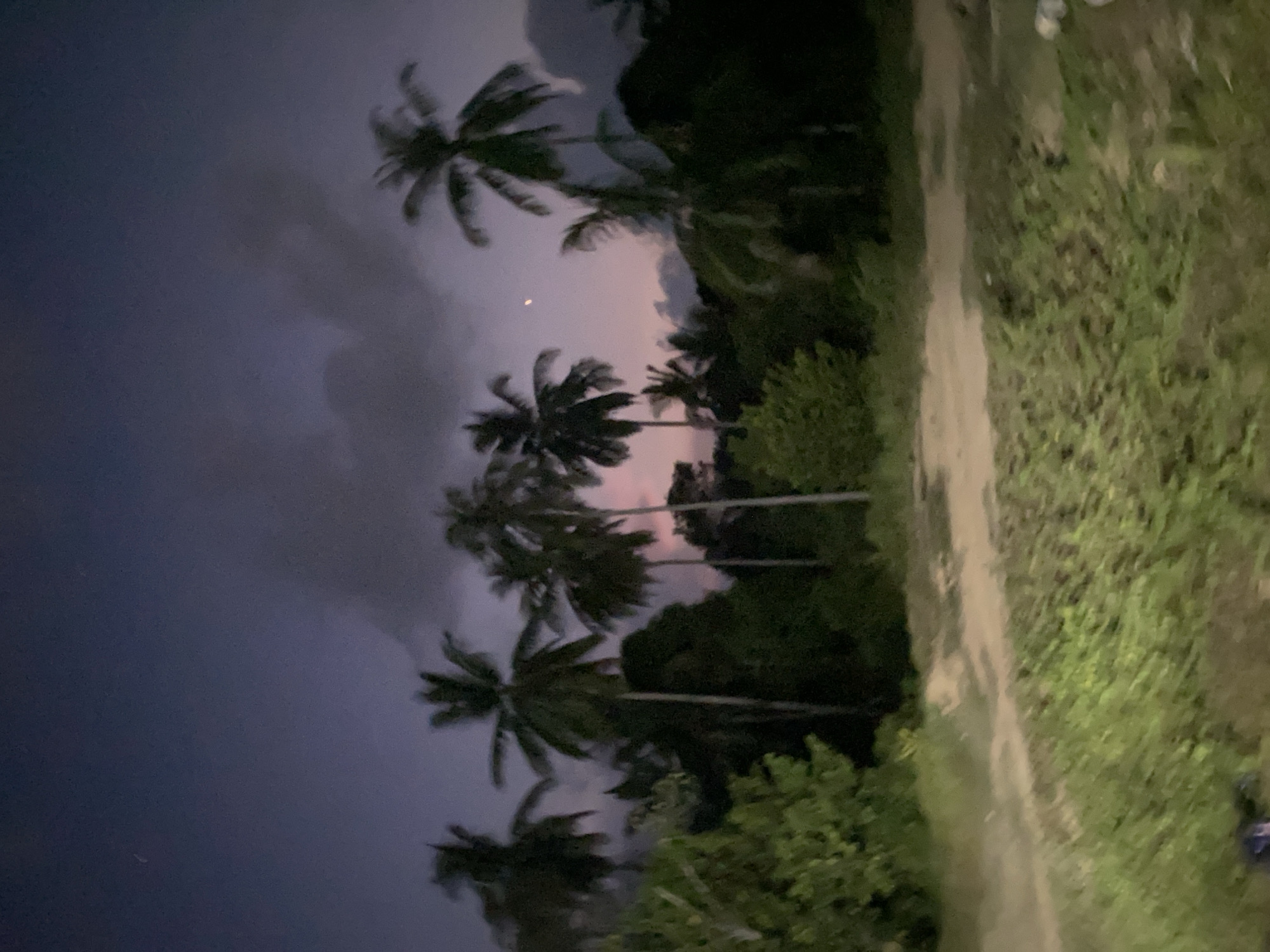 Twilight palm tree scenes captured in Indonesian village