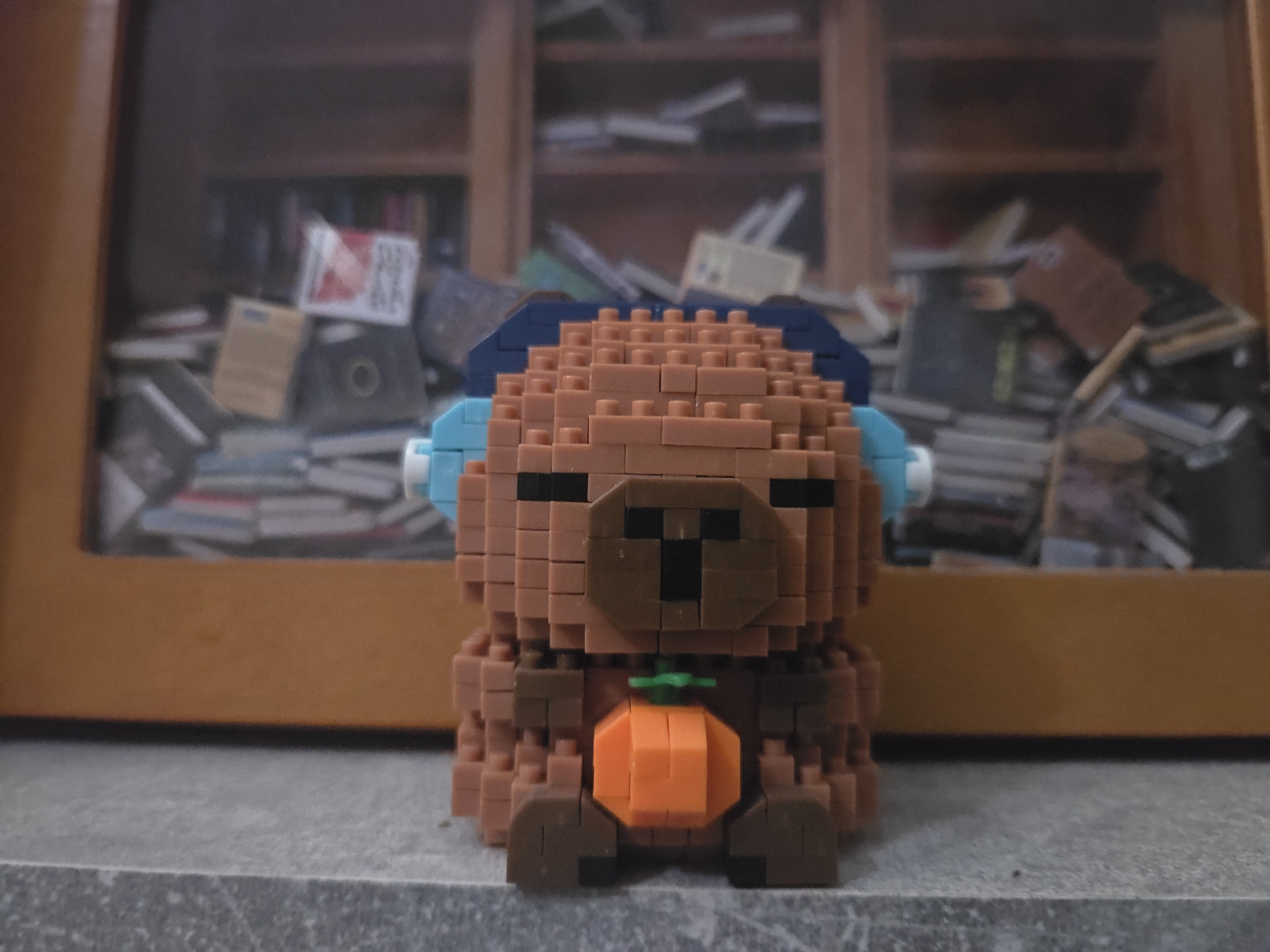 Capybara nanoblock figure spotted in Mannheim, Germany