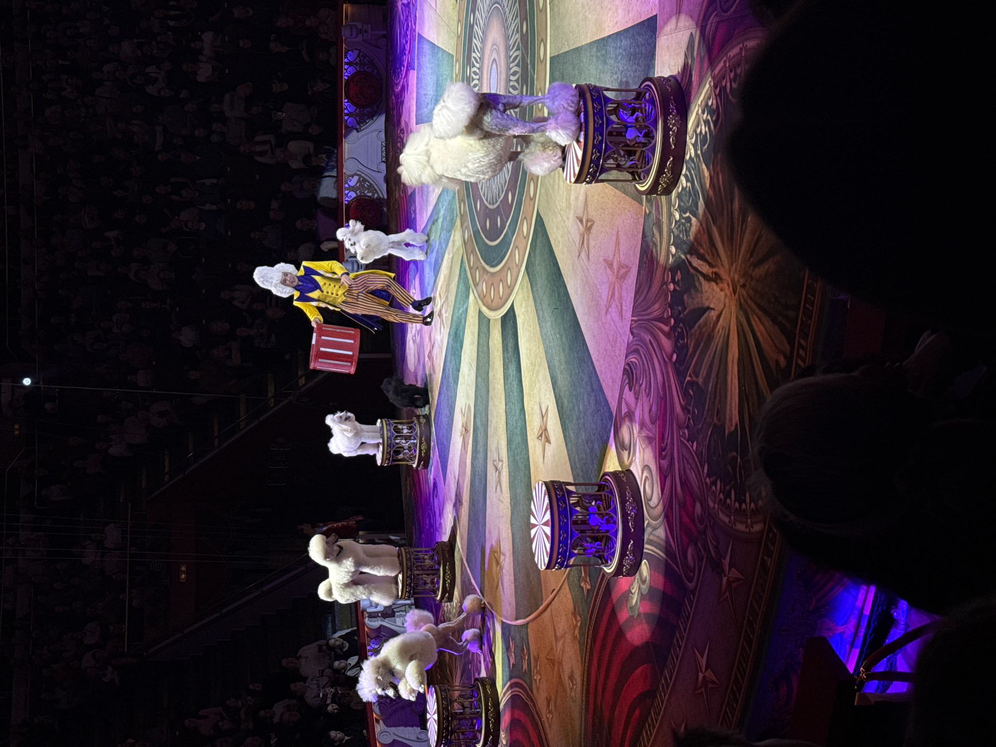 Circus performances with animals and entertainers at Moscow State Circus