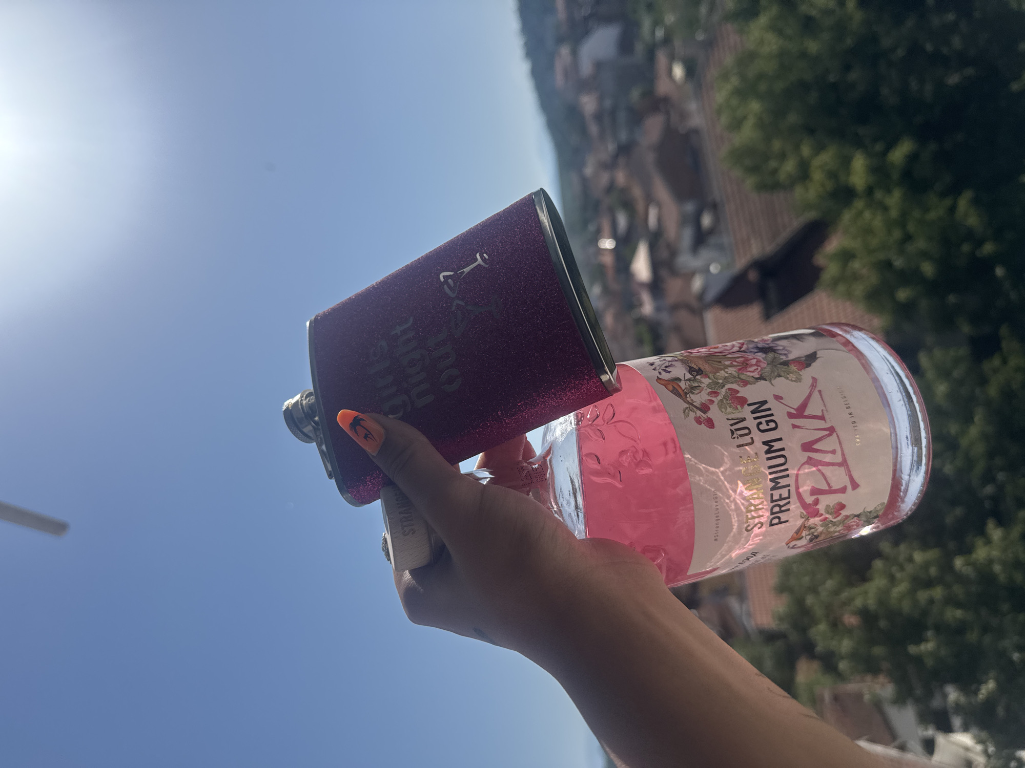 Pink gin and nail art against the Montana, Bulgaria skyline