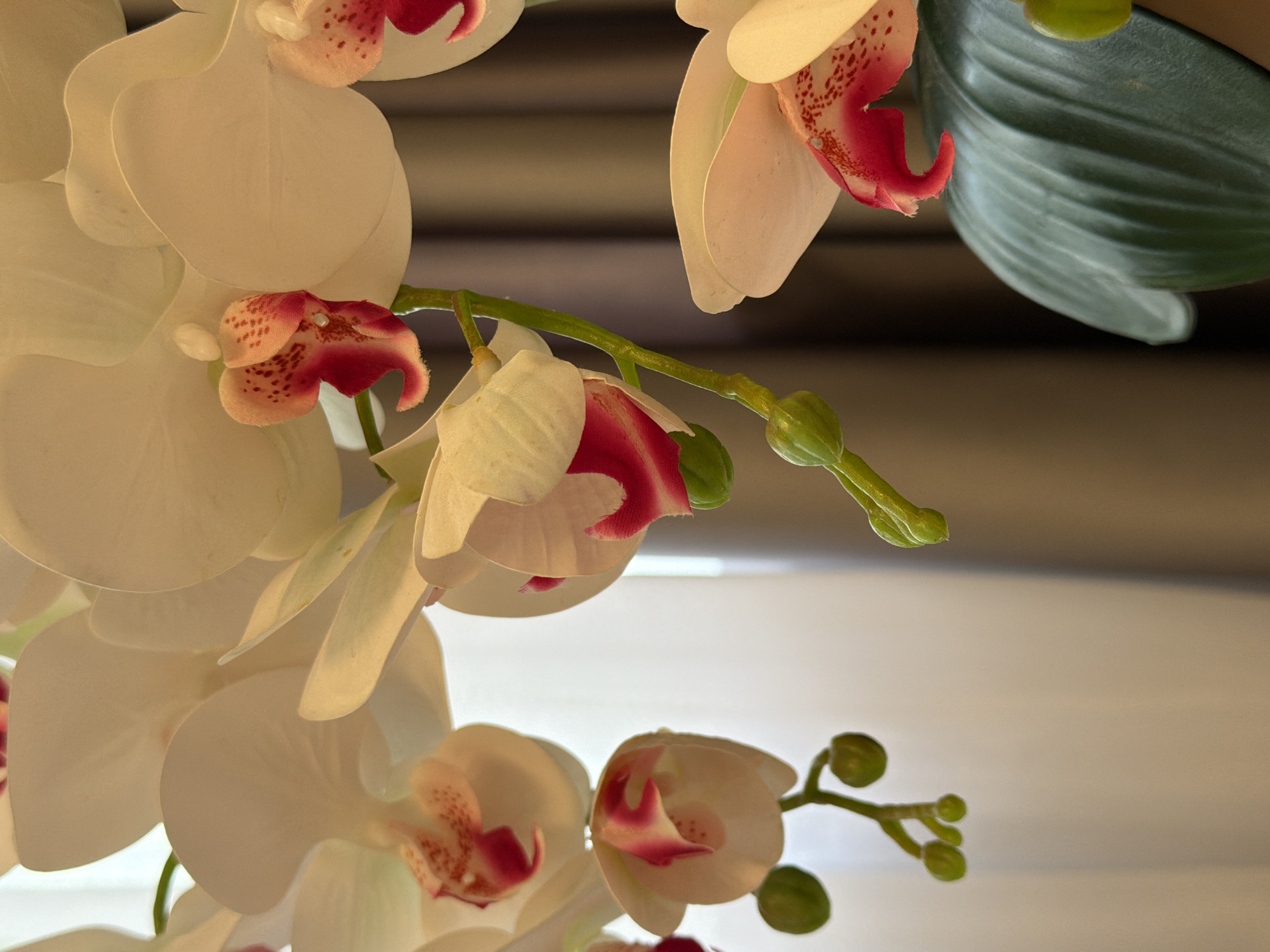 Artificial orchids and books arranged on a white surface in Kazan