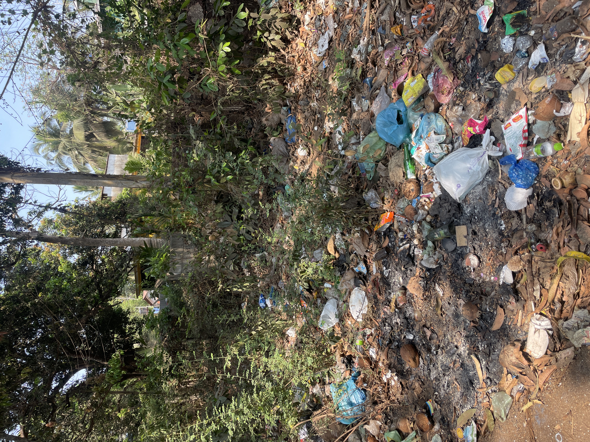 Trash-strewn roadside area documented in Marna, India