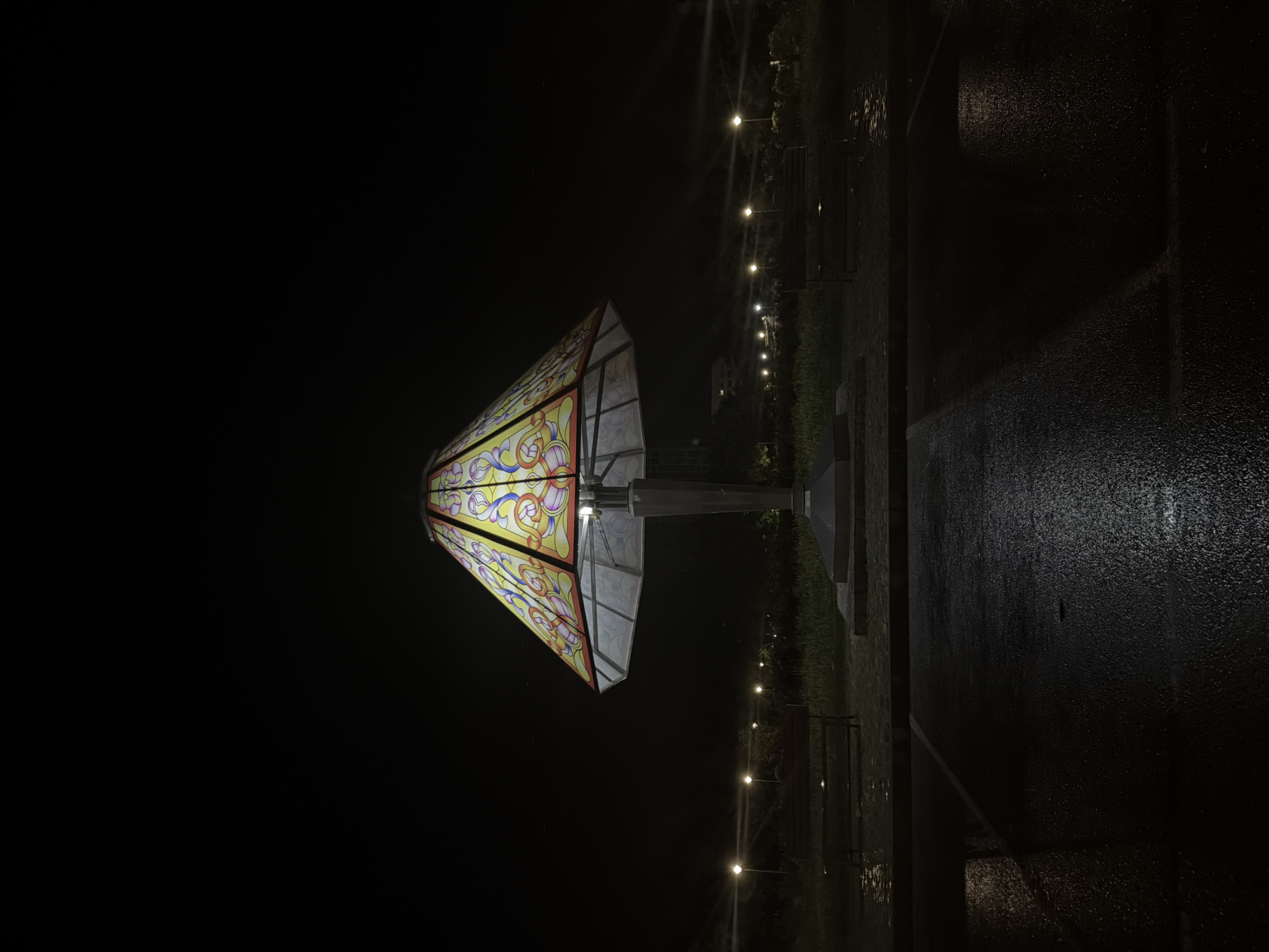 Ornate street lamp illuminates wet Dimitrovgrad streets after rainfall