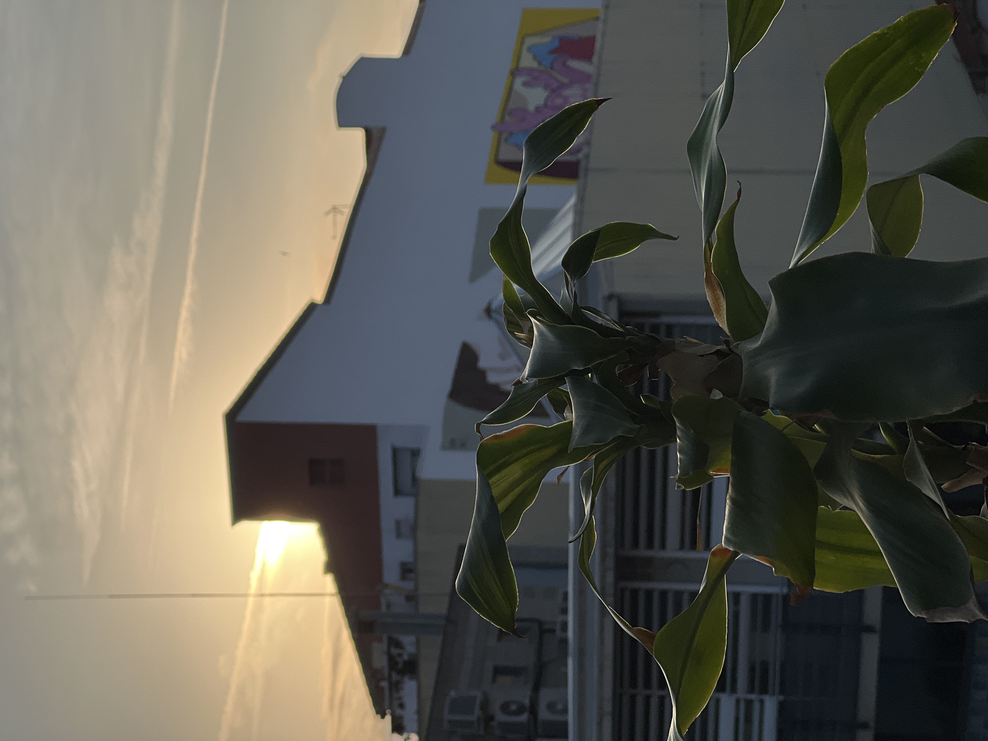 Quiet evening routine documented in Mollet del Vallès