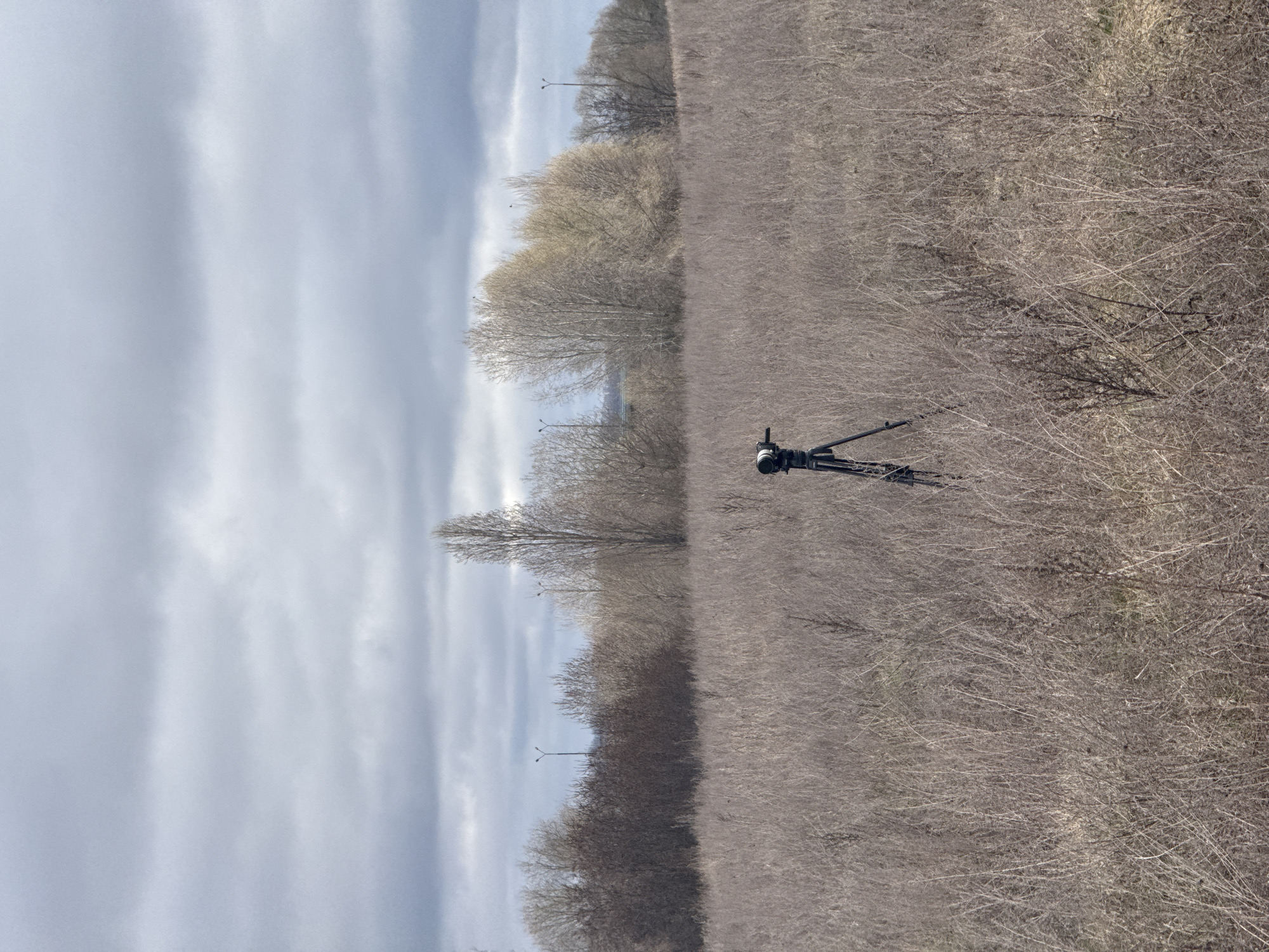 Landscape photograph captures dry vegetation in Kurchatov, Russia