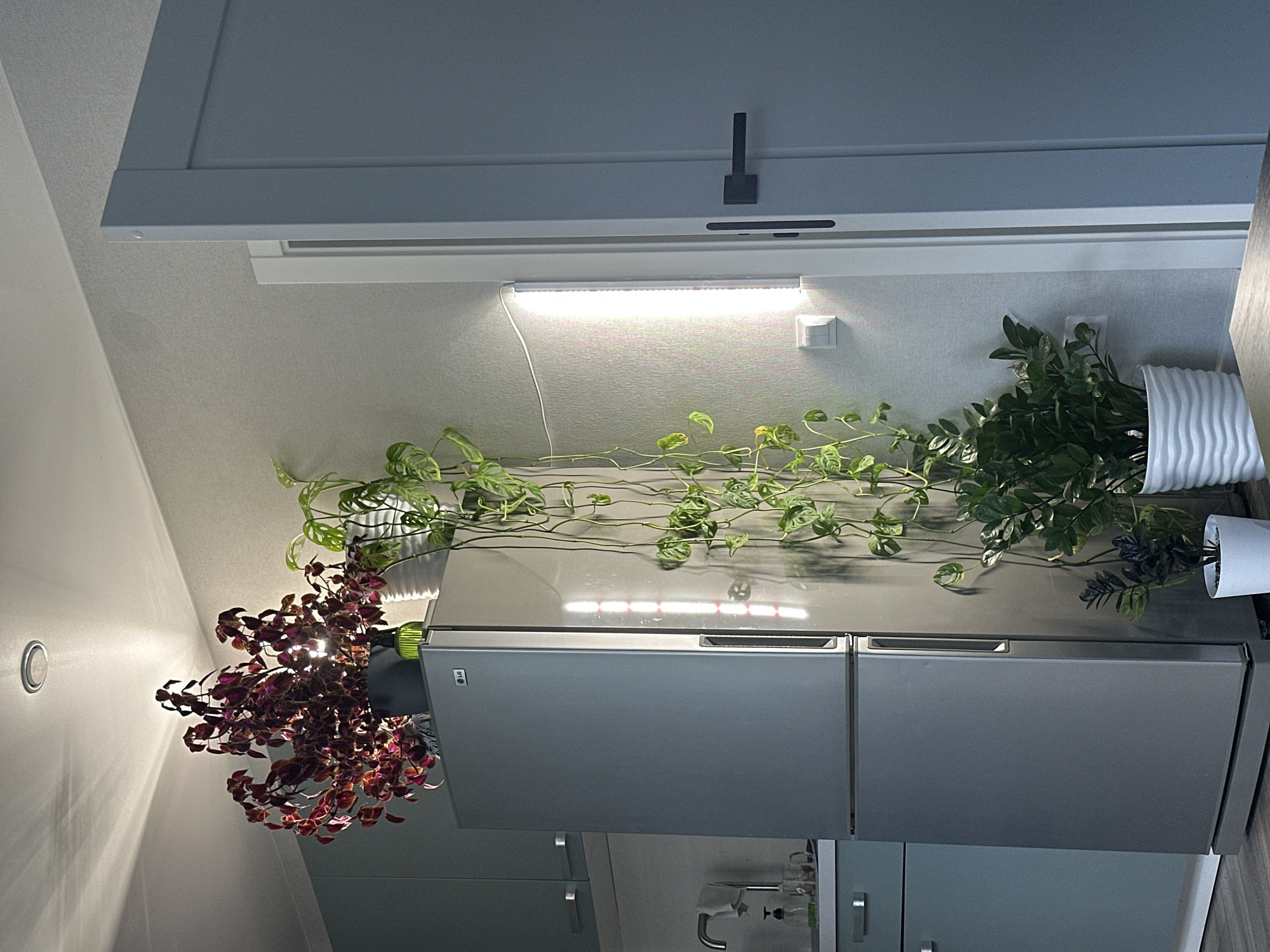 Modern kitchen with plants documented in Murino, Russia