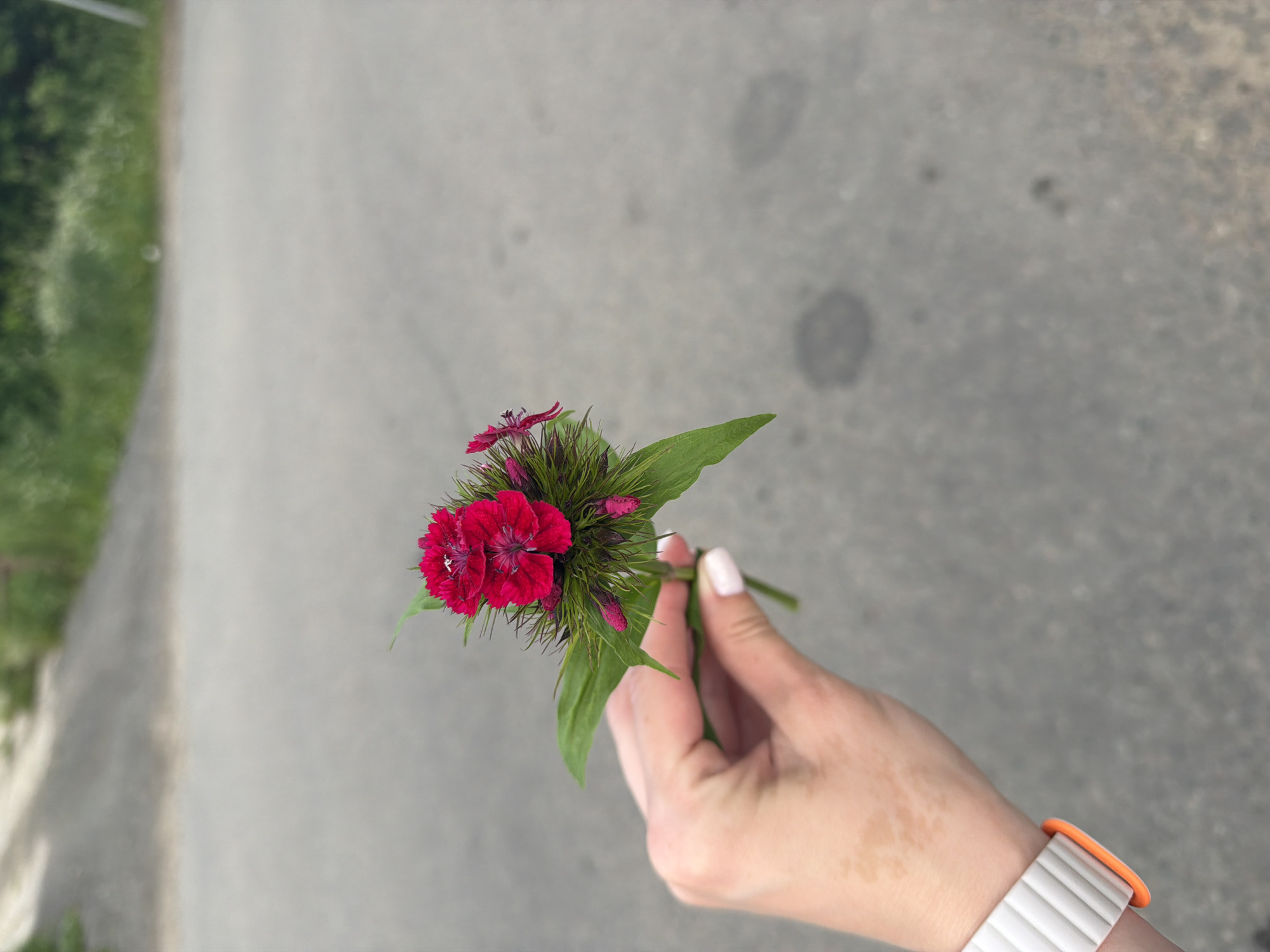 Afternoon collection: flowers, fruit, vodka, and bicycle ride documented