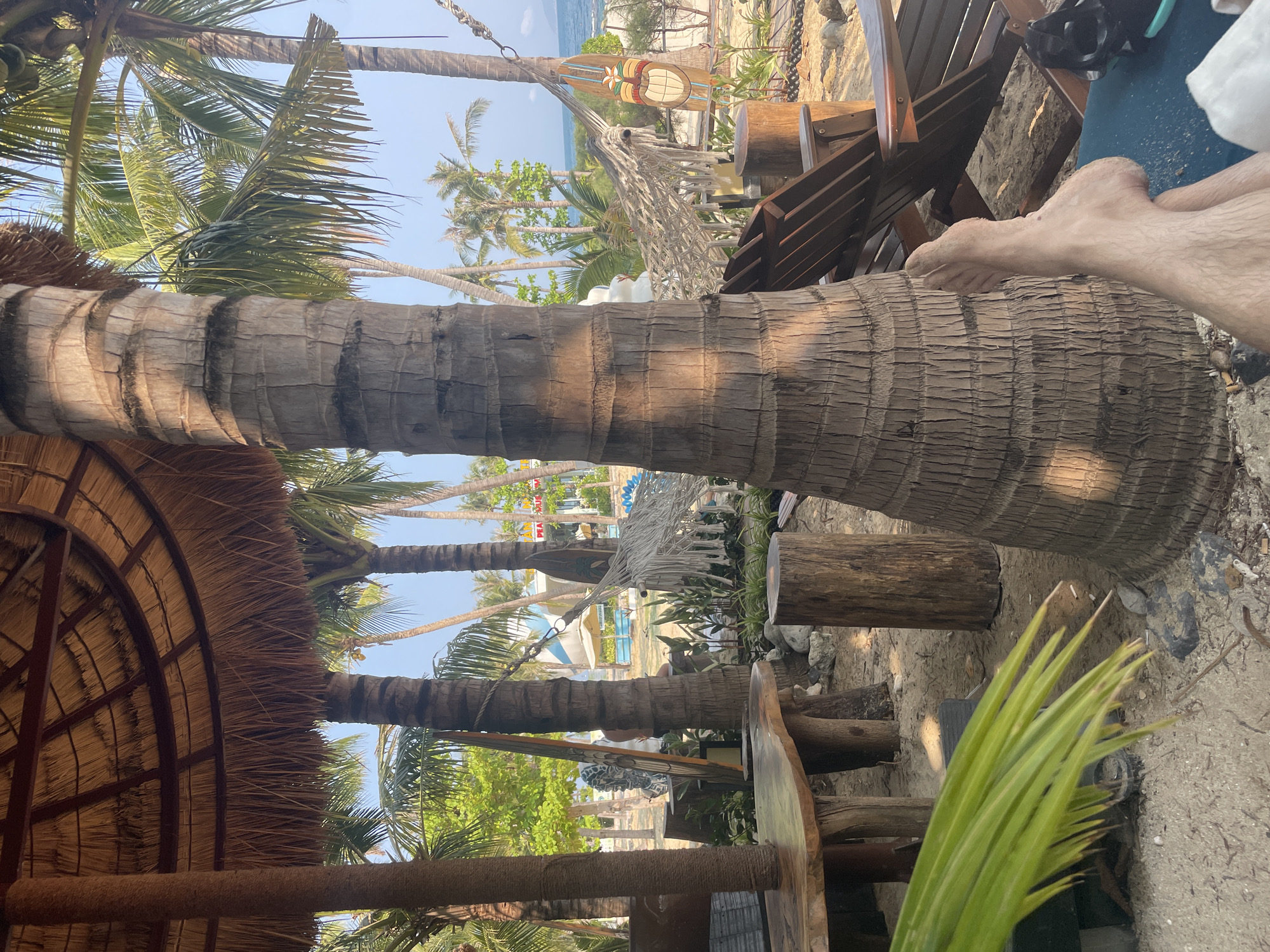 Visitor documented at Vietnam heritage beach among palm trees