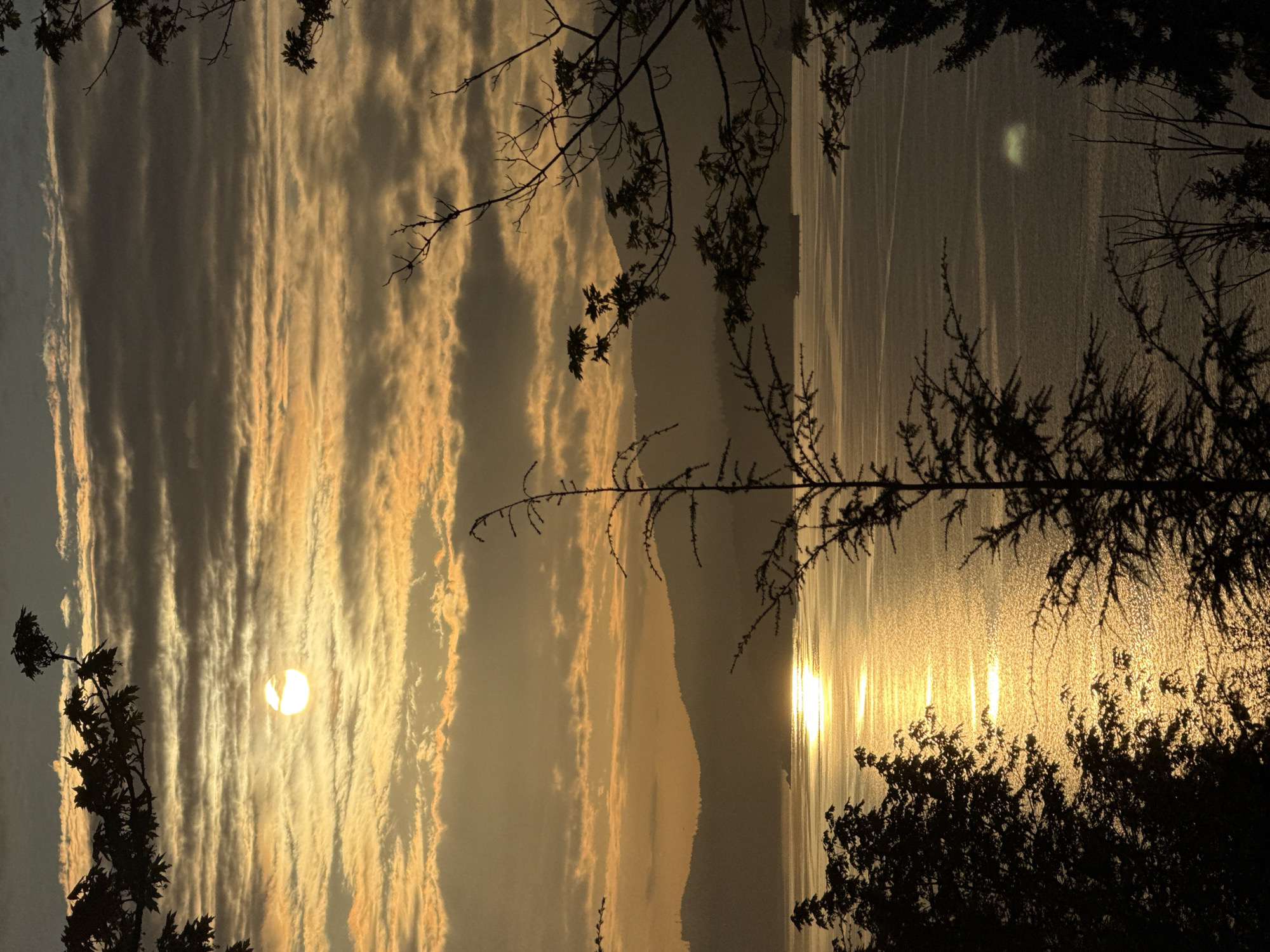 Vancouver resident captures dawn waterscape and forest trail scenes