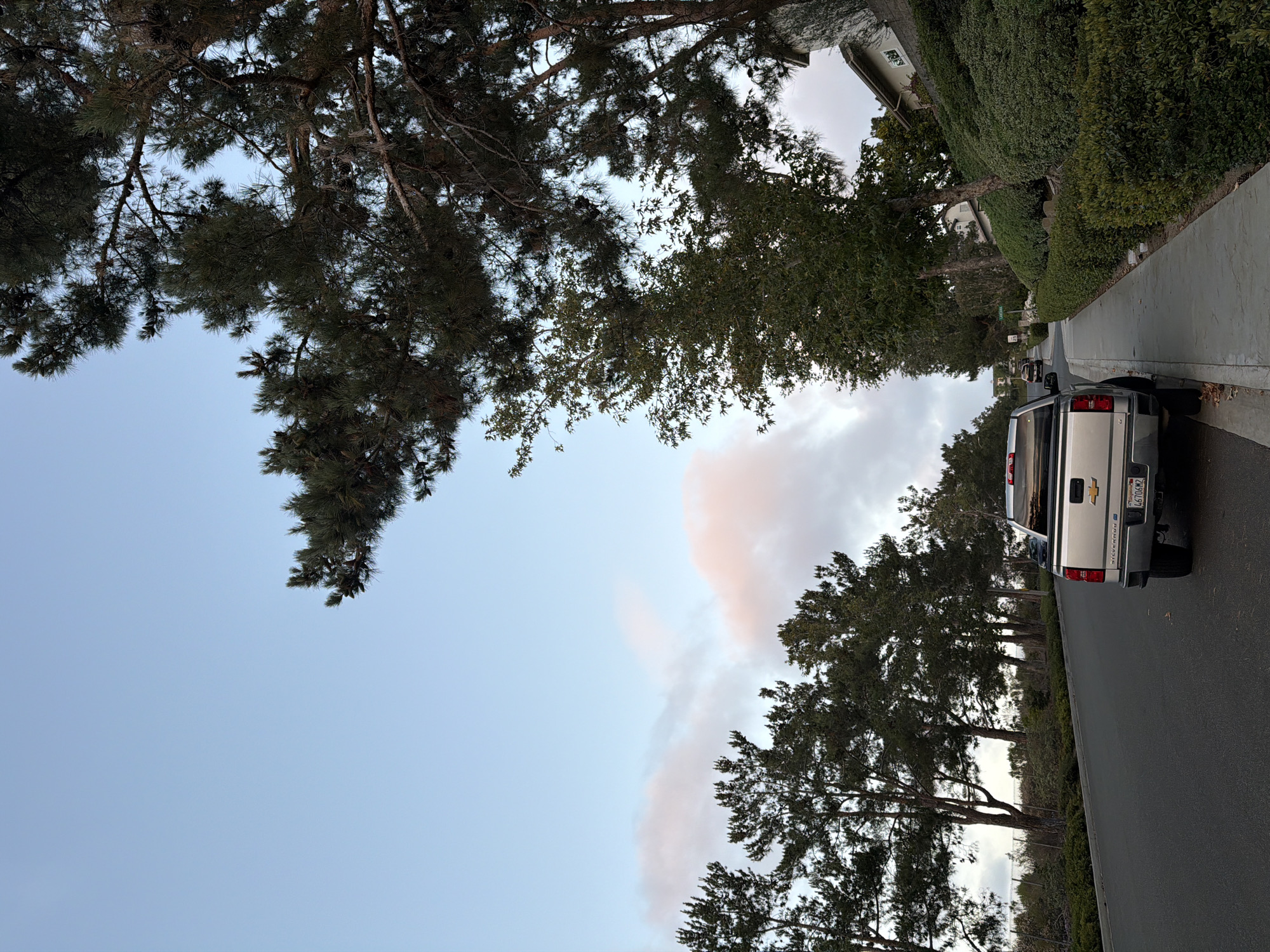 Sunset stroll through Aliso Viejo, pinecones and neighborhood streets