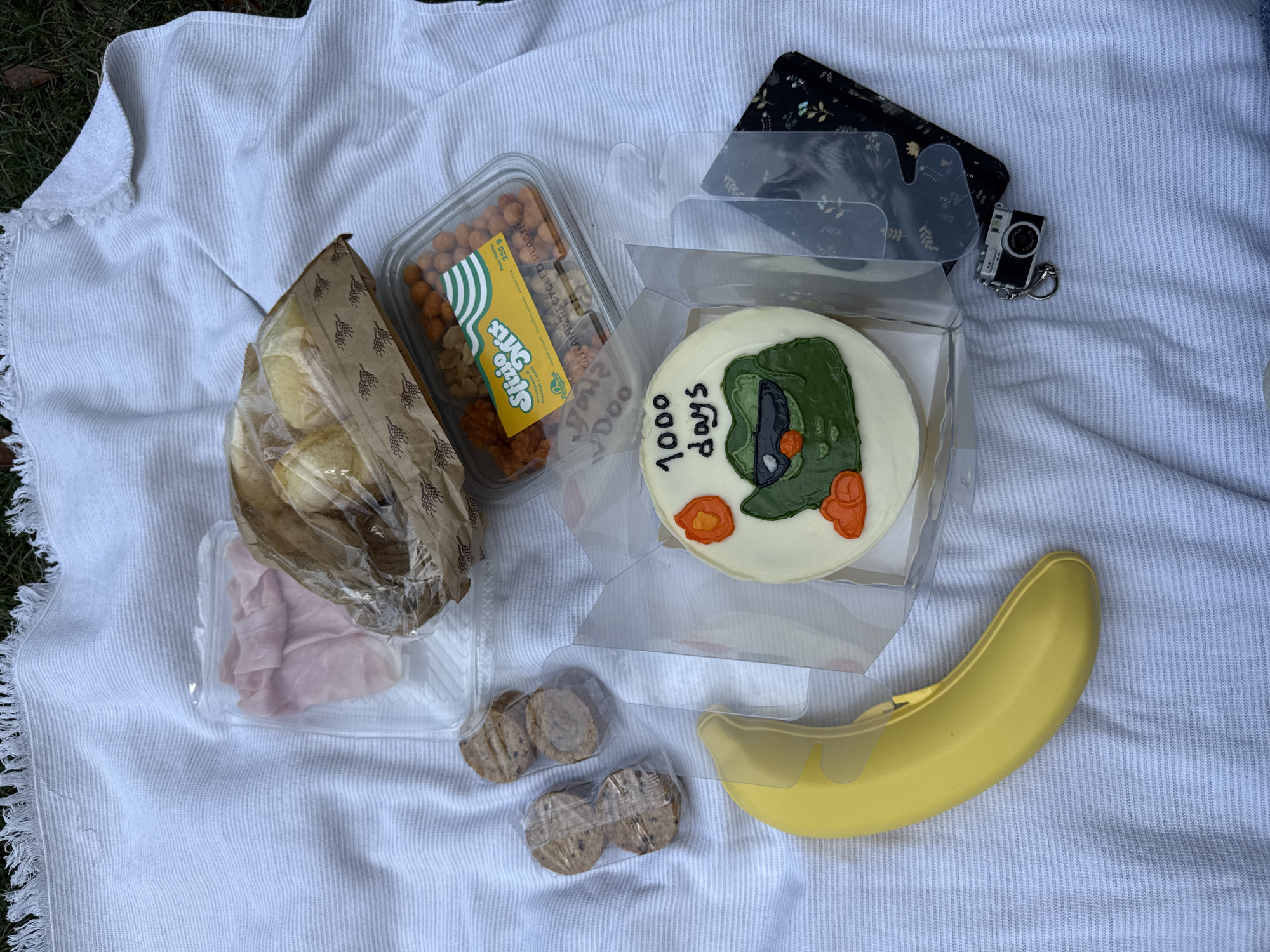 Milan park picnic celebrating a 1000-day streak