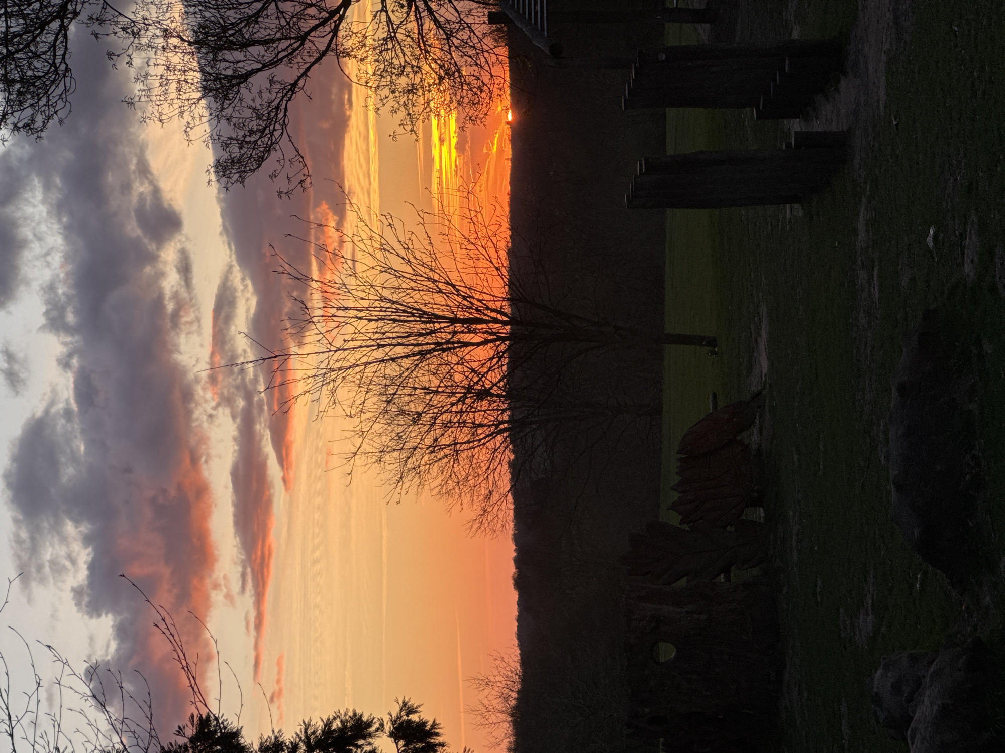 Vibrant sunset observed across London parks Sunday evening